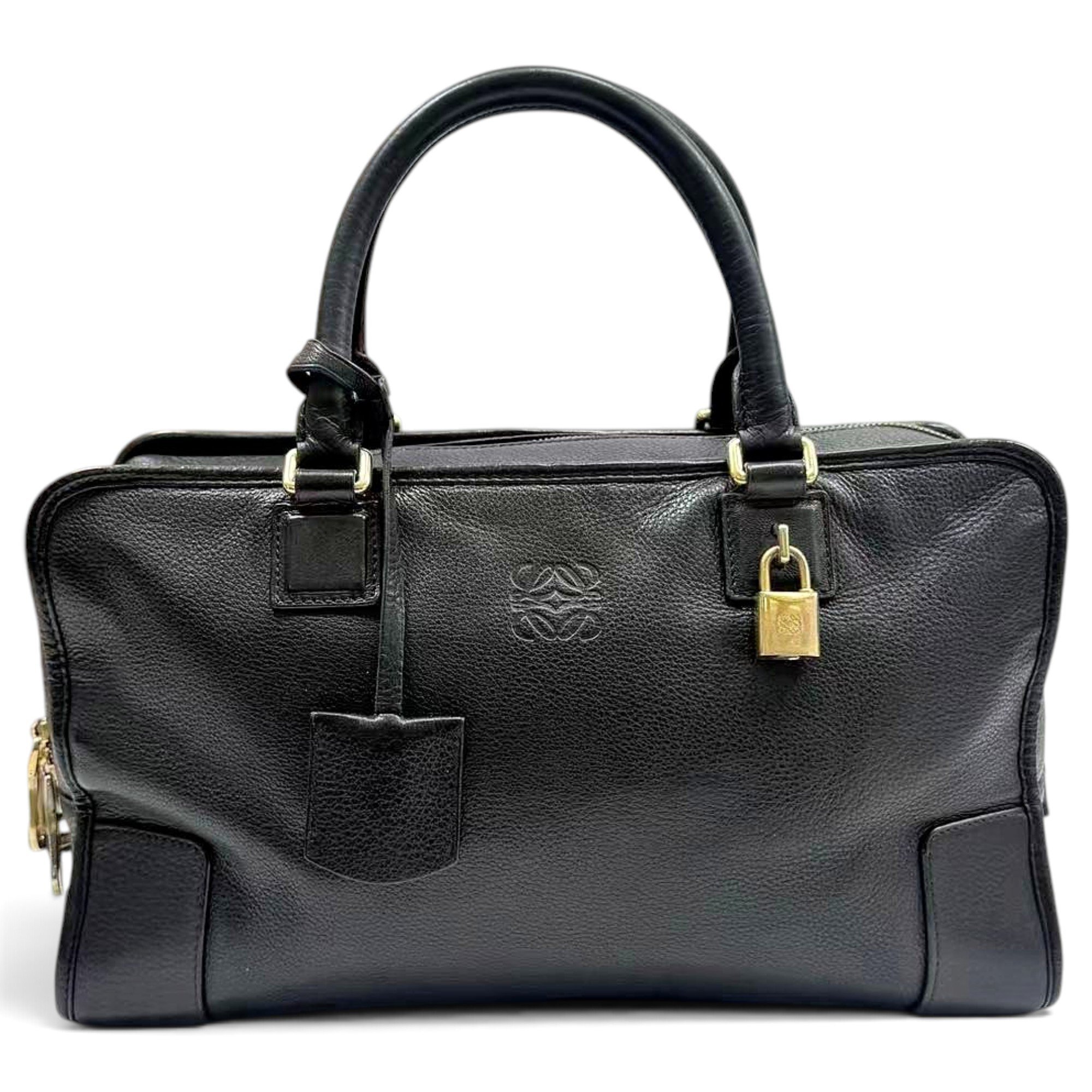 Amazona leather handbag