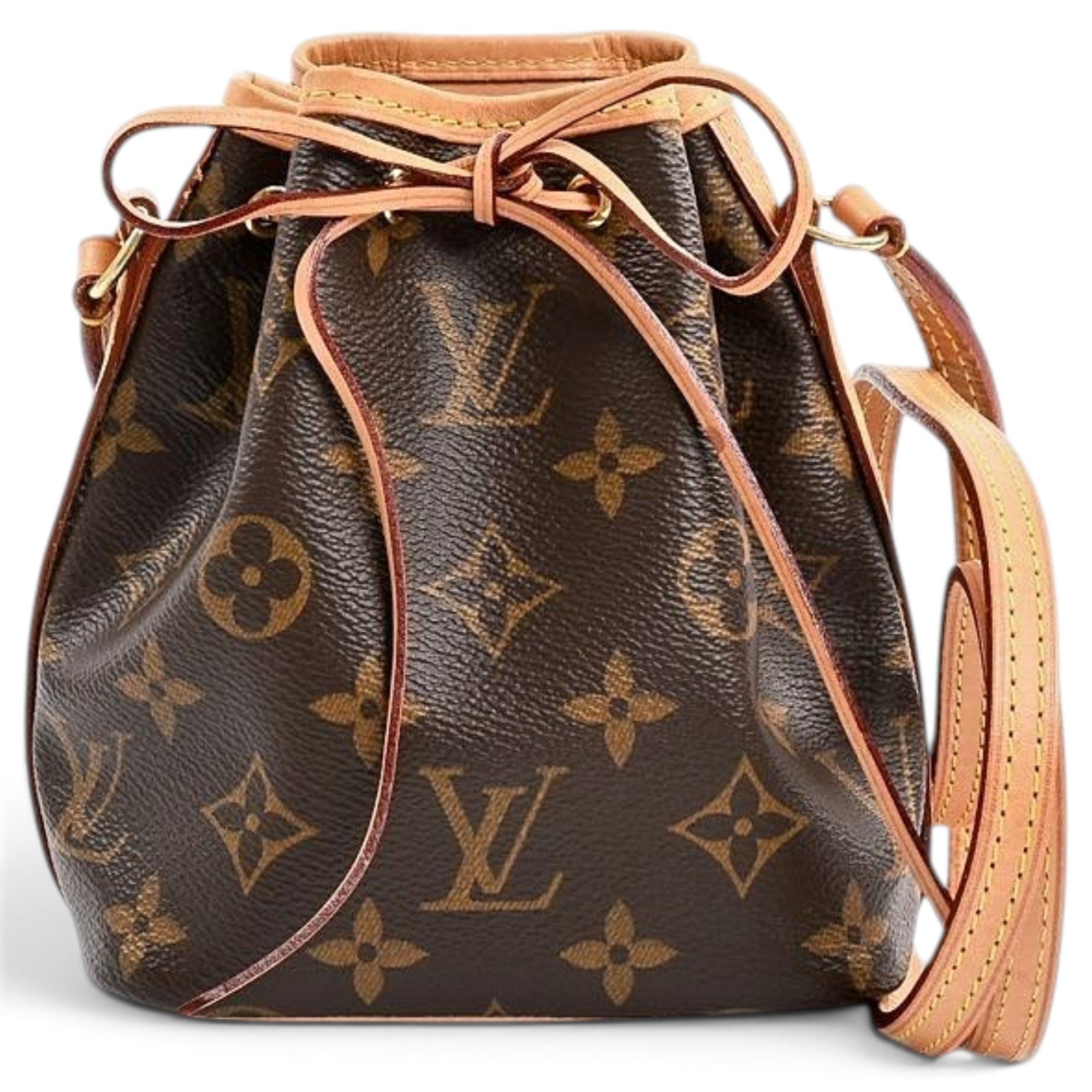 Nano Noé leather bag