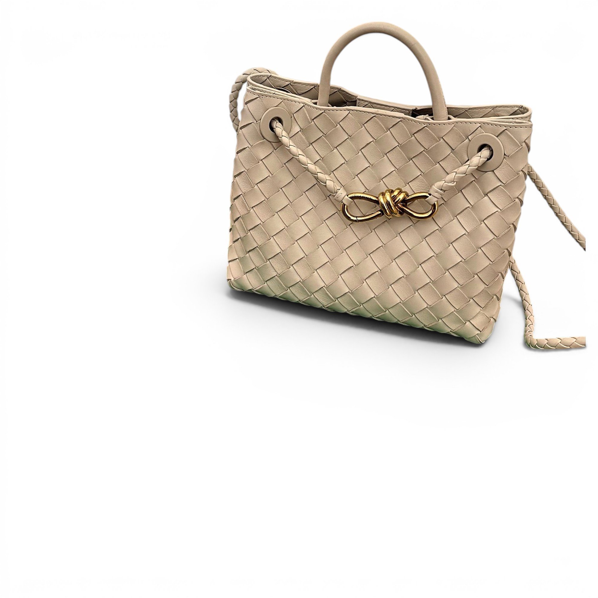 Bottega Veneta Andiamo leather handbag