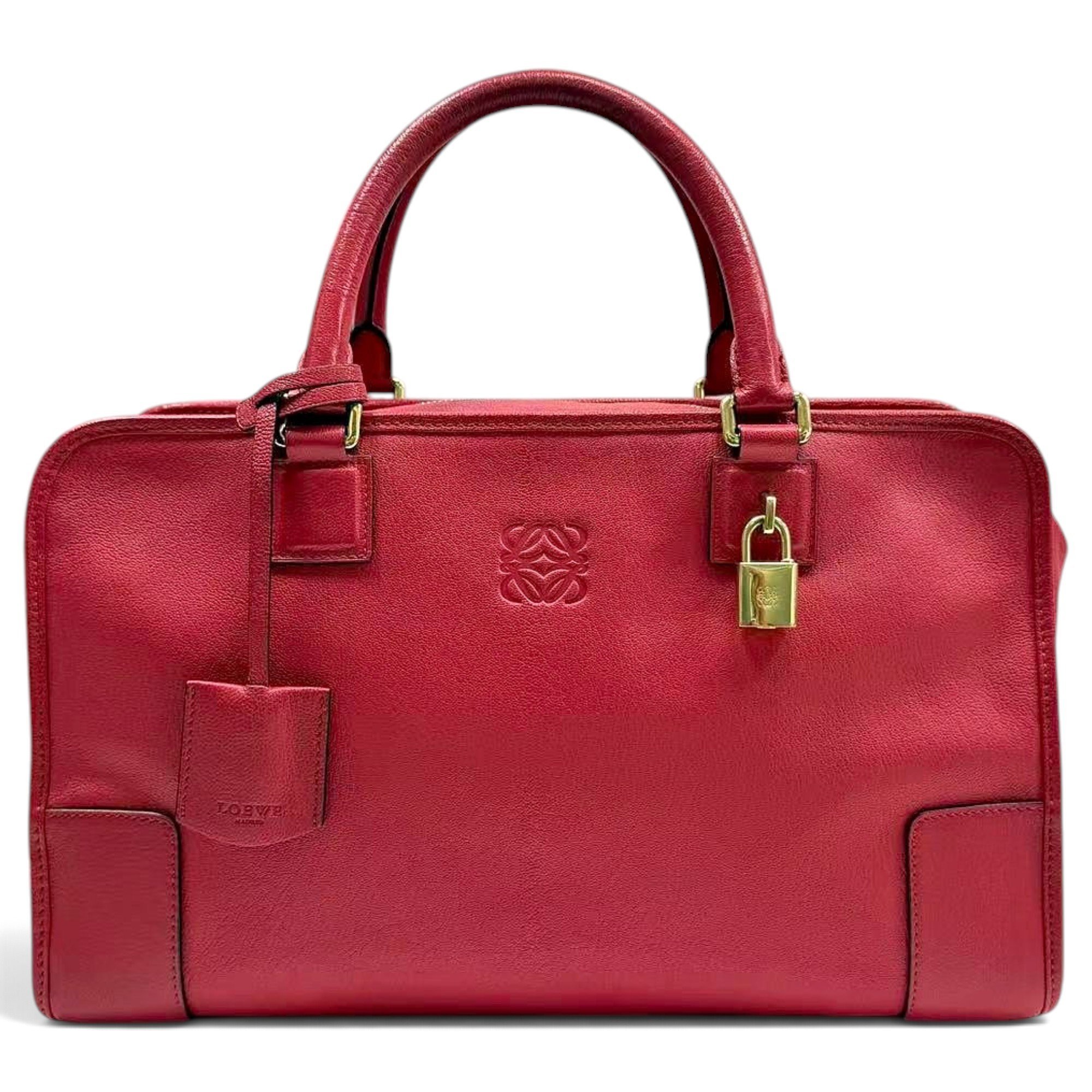 Amazona leather handbag