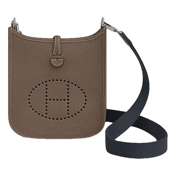 Mini Evelyne leather crossbody bag