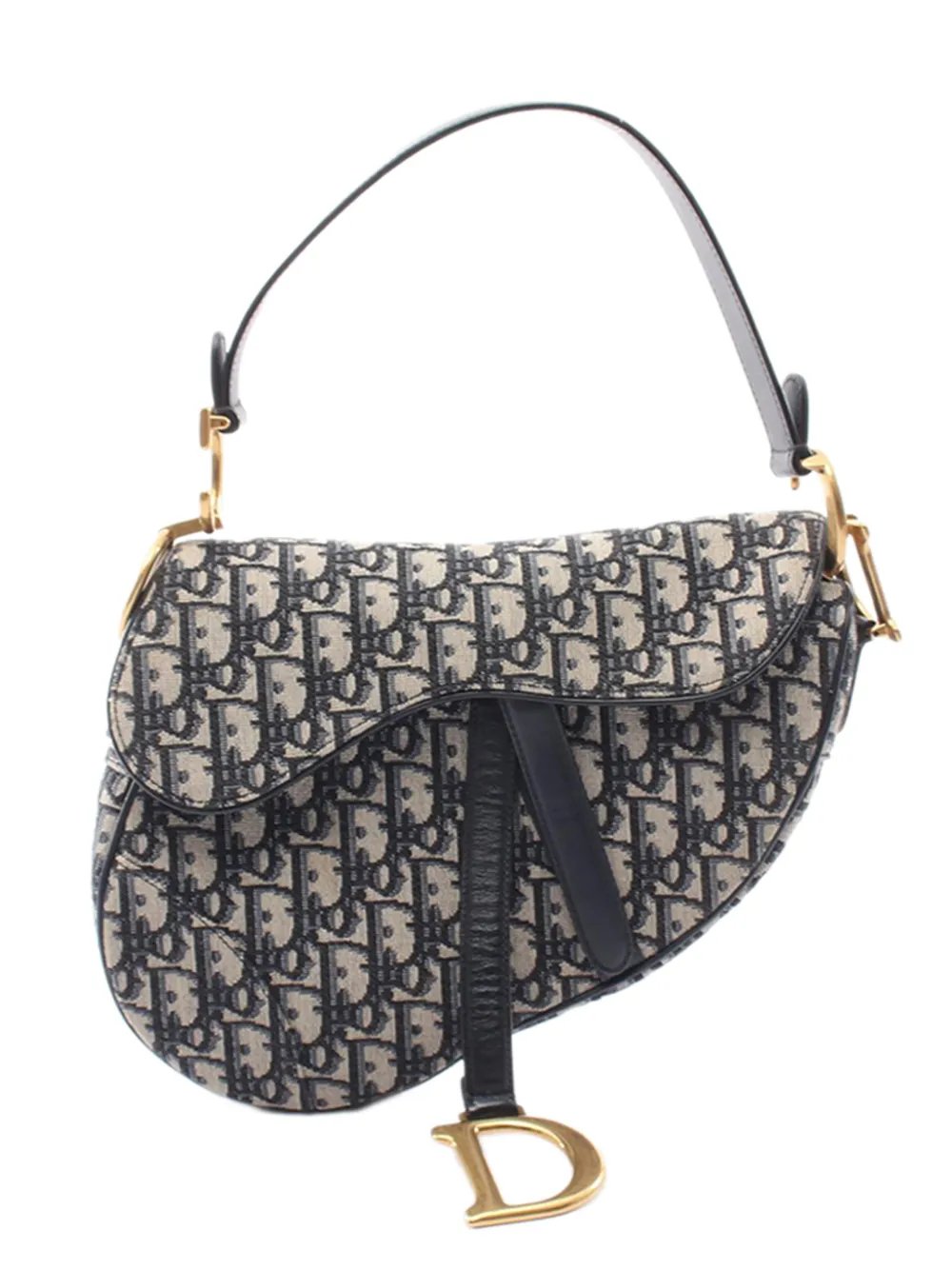 2000-2026 Oblique Canvas Saddle Bag shoulder bag