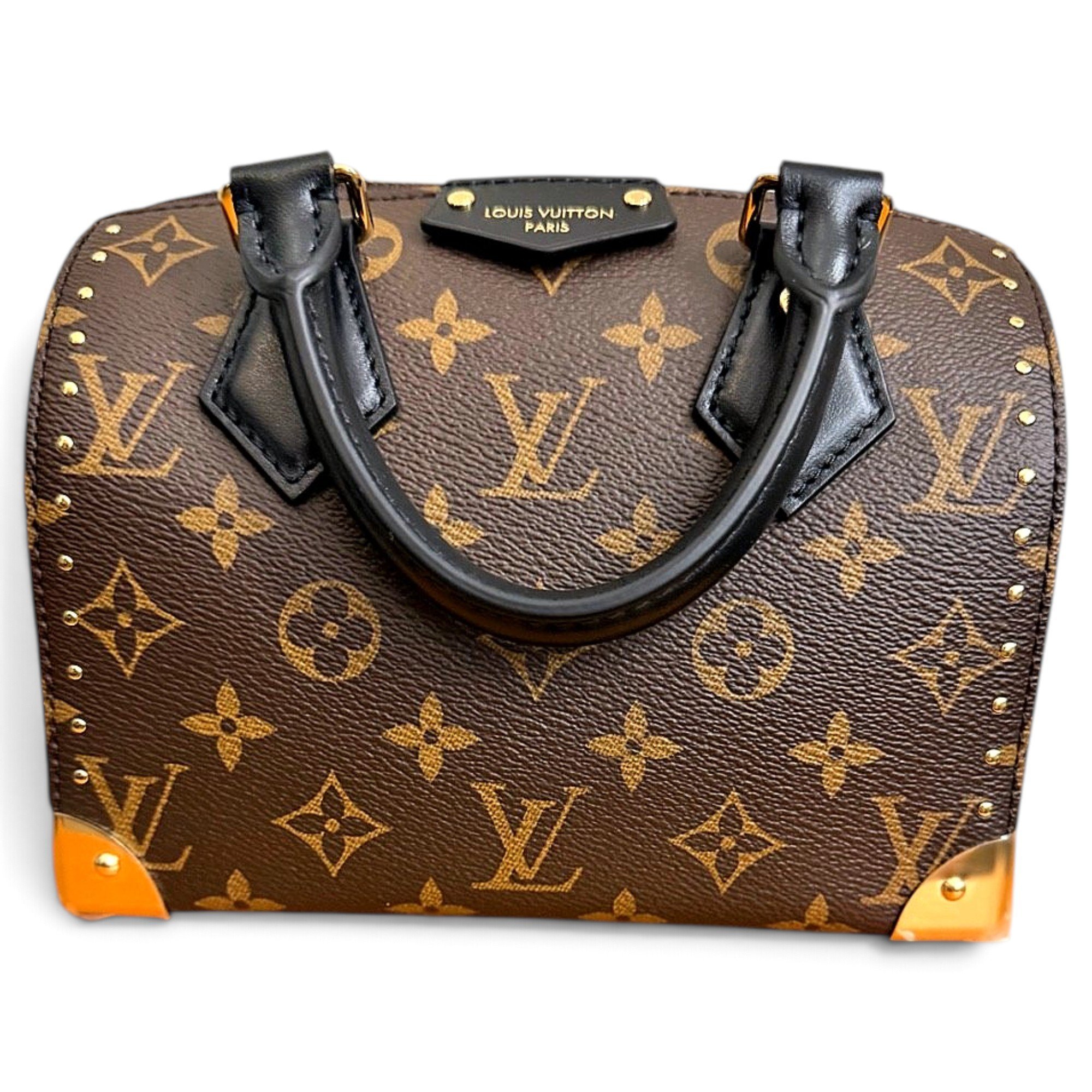 Speedy leather bag