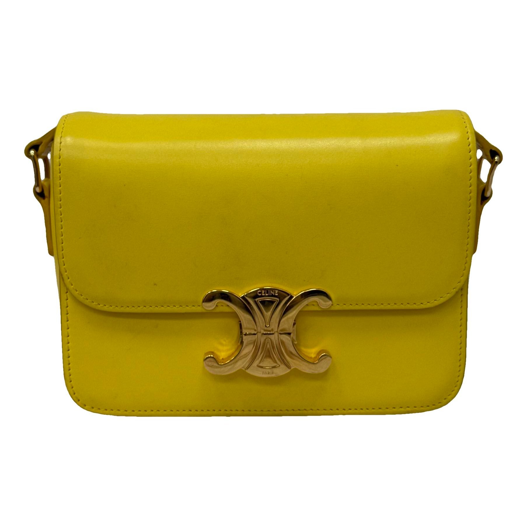 Triomphe leather handbag