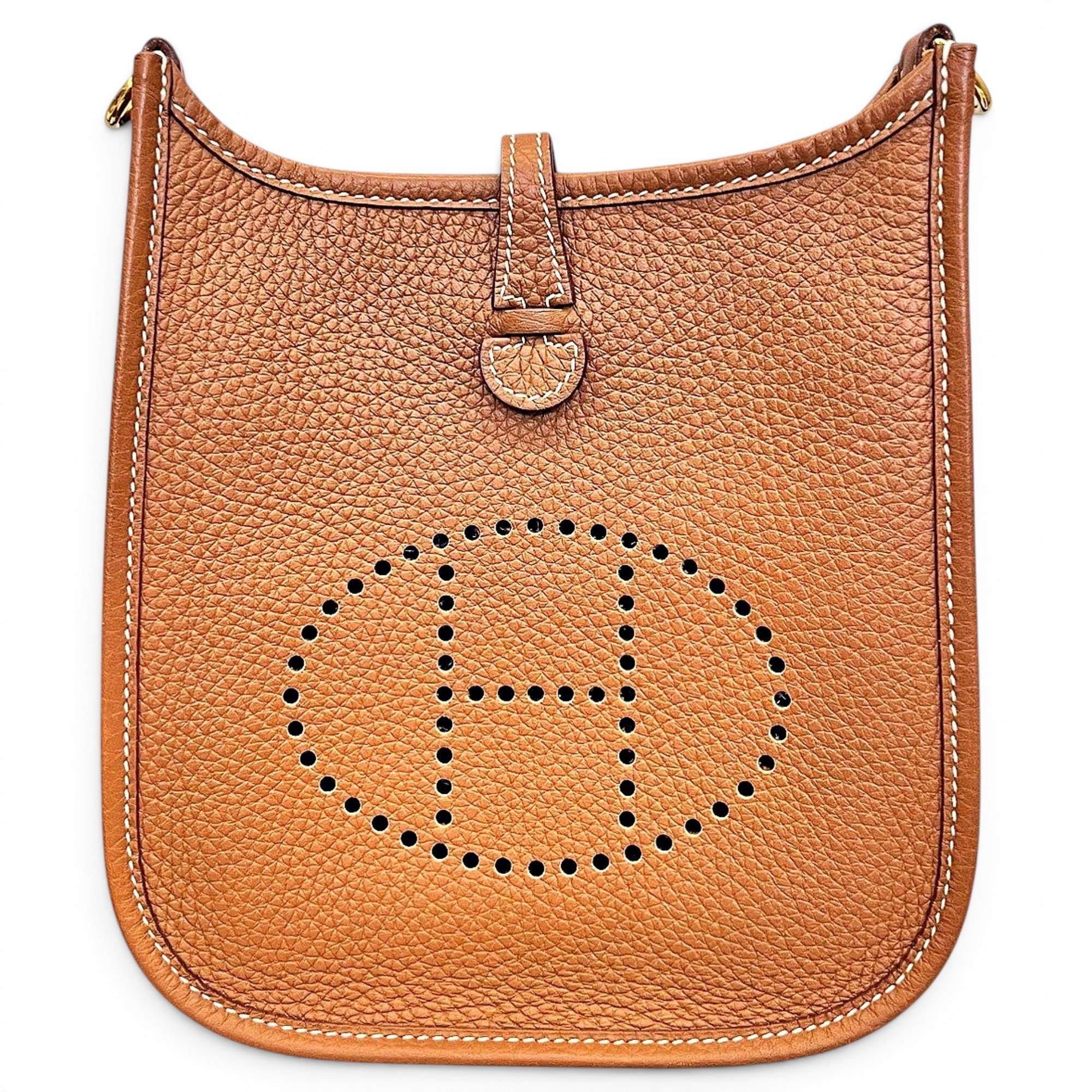 Mini Evelyne leather handbag