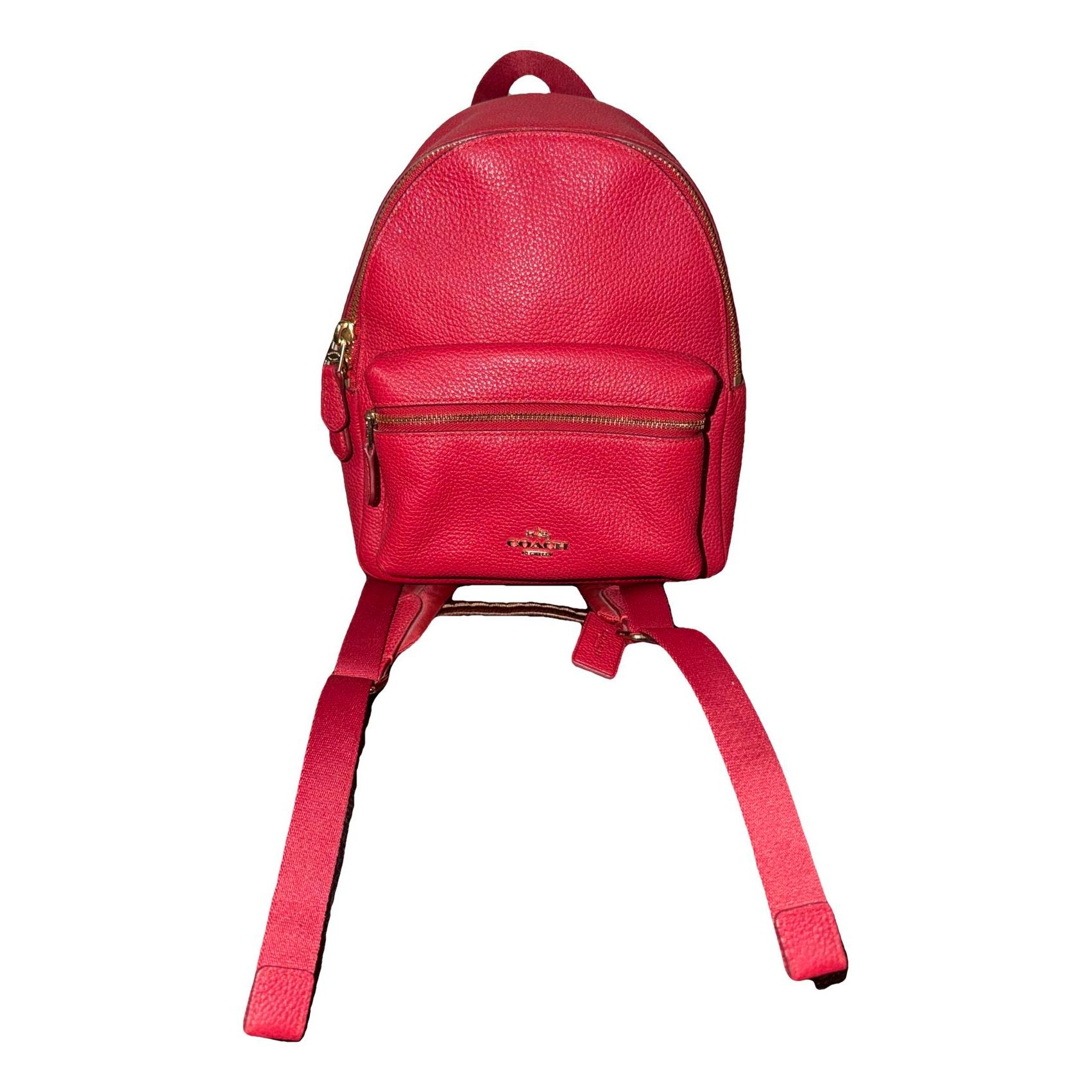 Leather backpack
