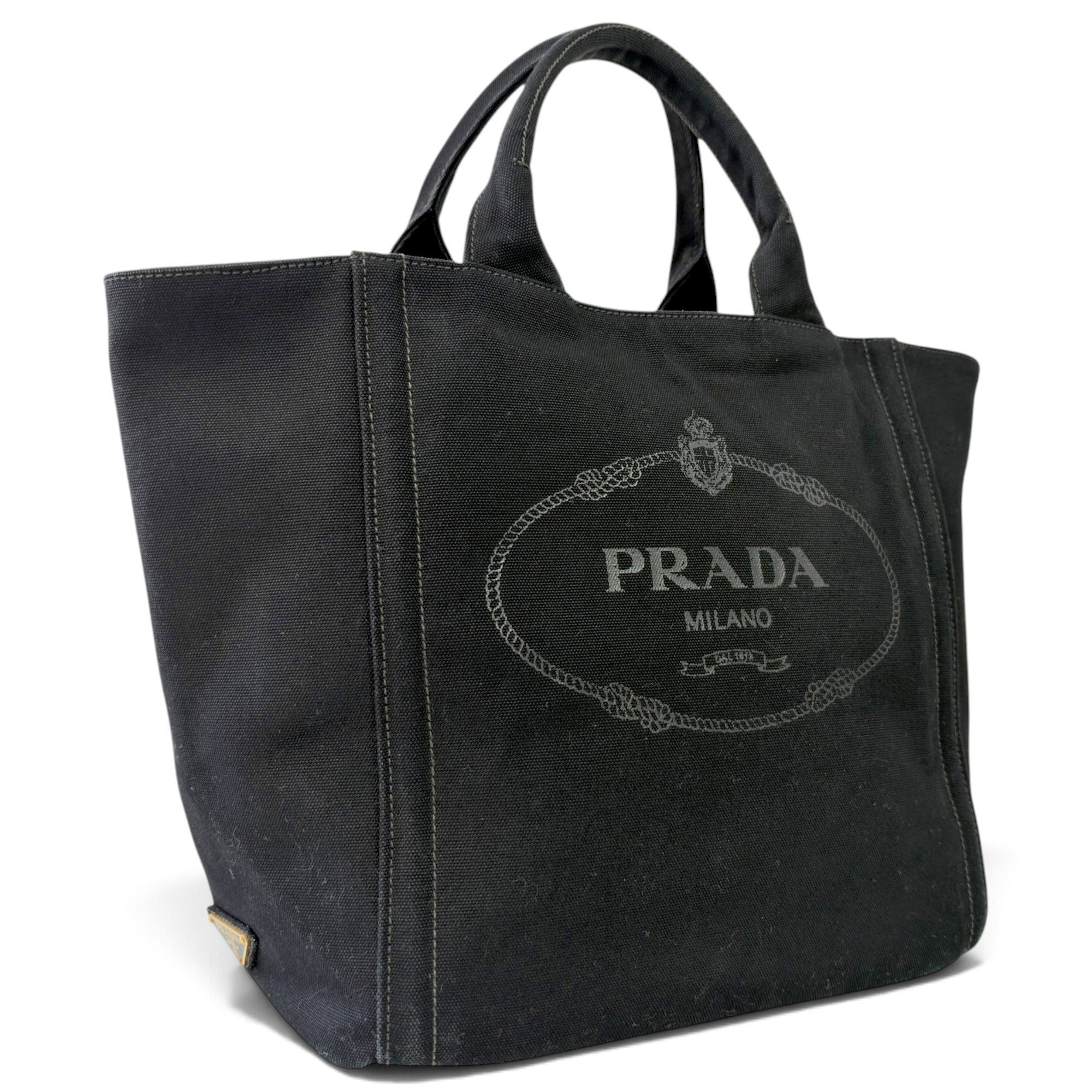 Prada Plexi Bag cloth handbag