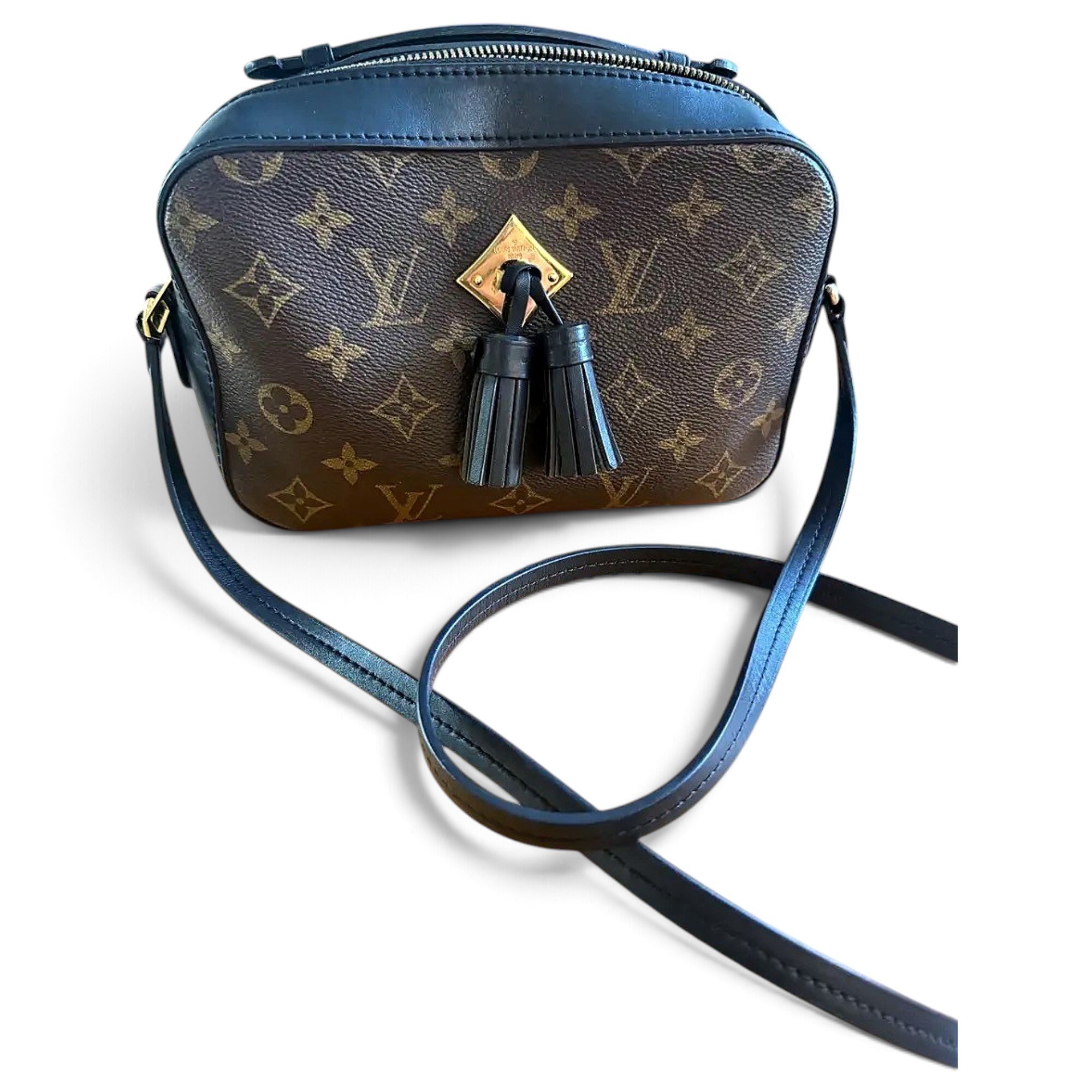 Saintonge leather crossbody bag