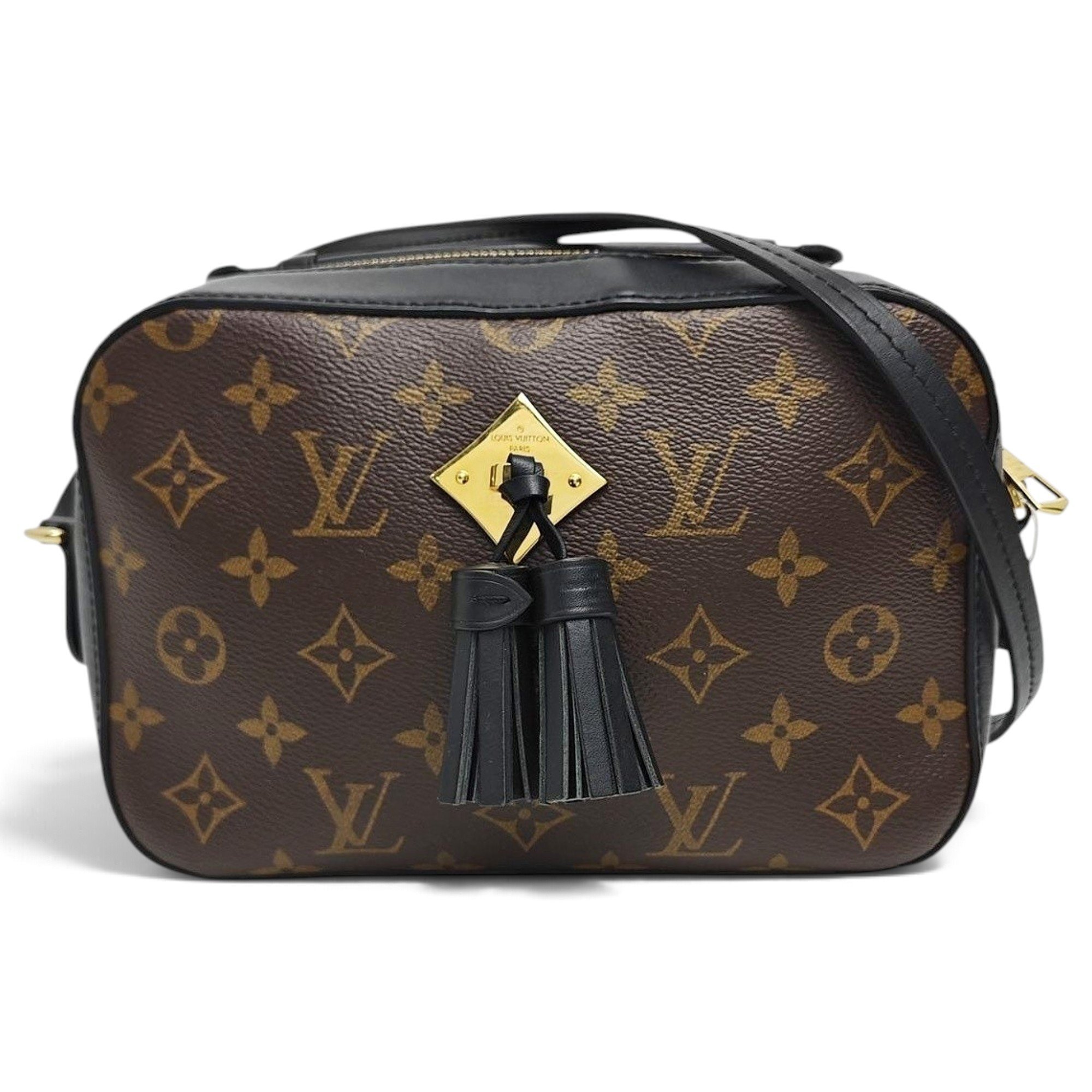Saintonge leather handbag