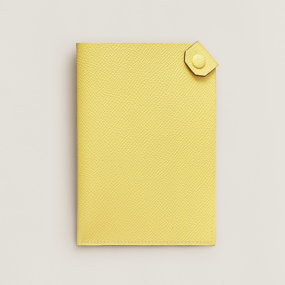 Tarmac passport holder