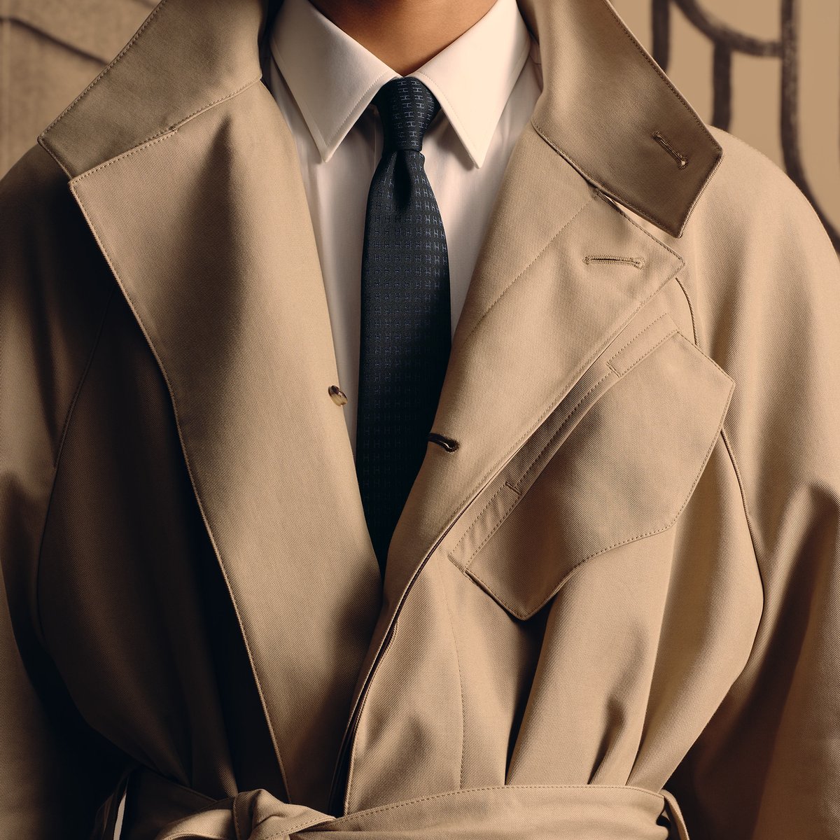 Faconnee H Bicolore Tie