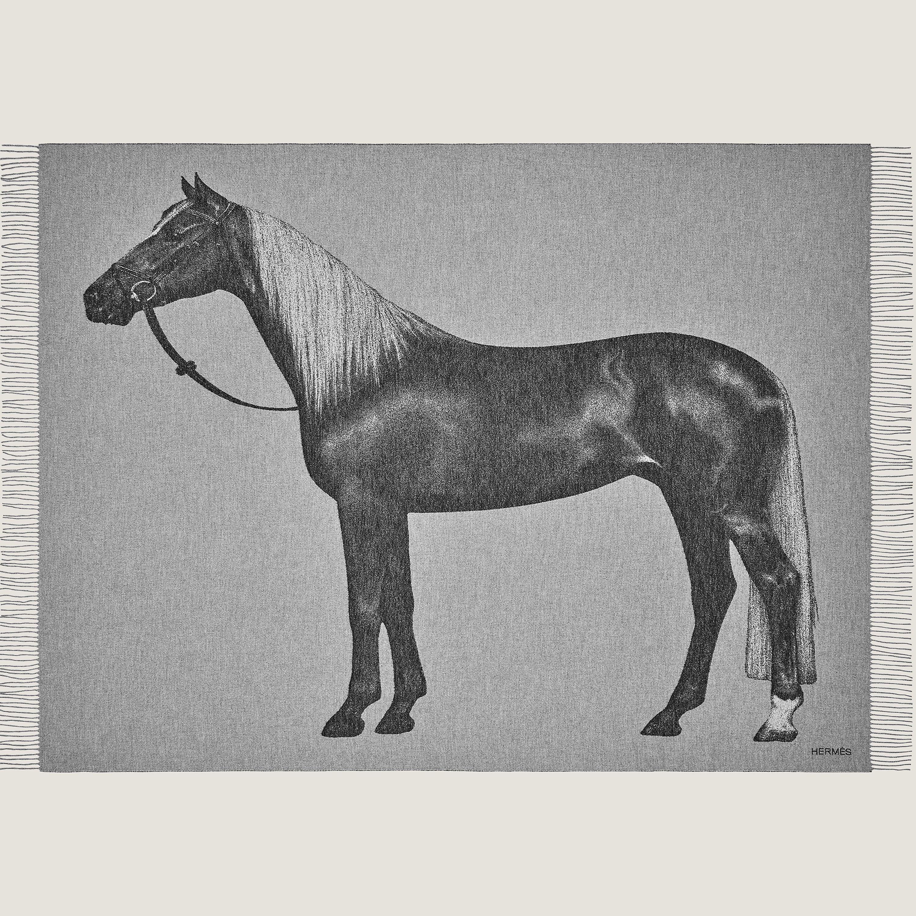 Cheval Palomino blanket