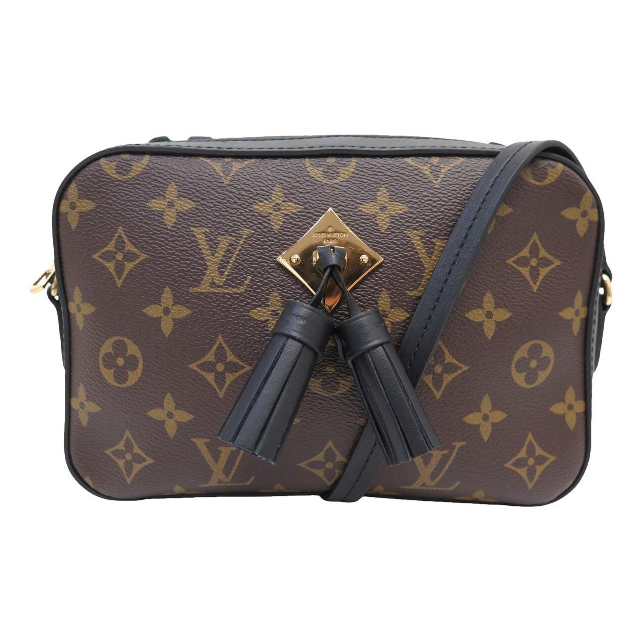 Saintonge leather crossbody bag