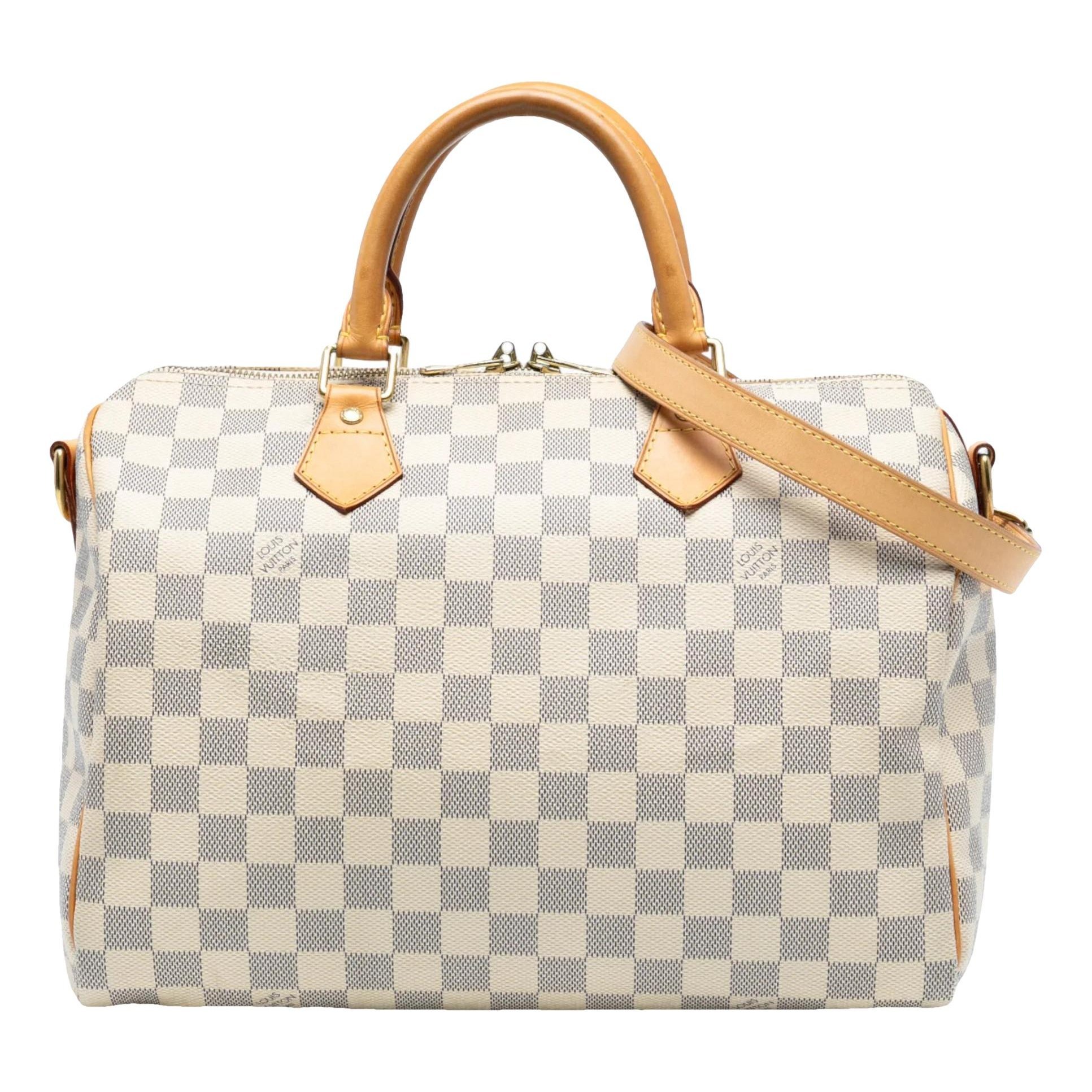 Louis Vuitton Speedy cloth bag
