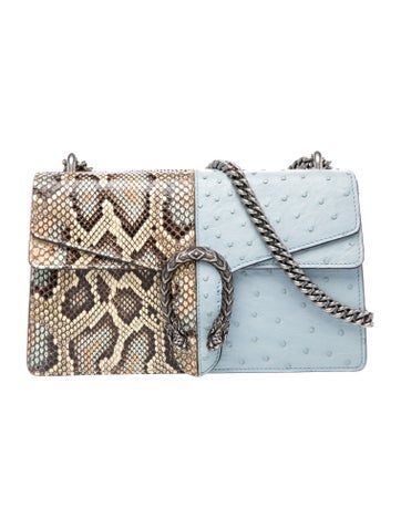 Python Dionysus Medium