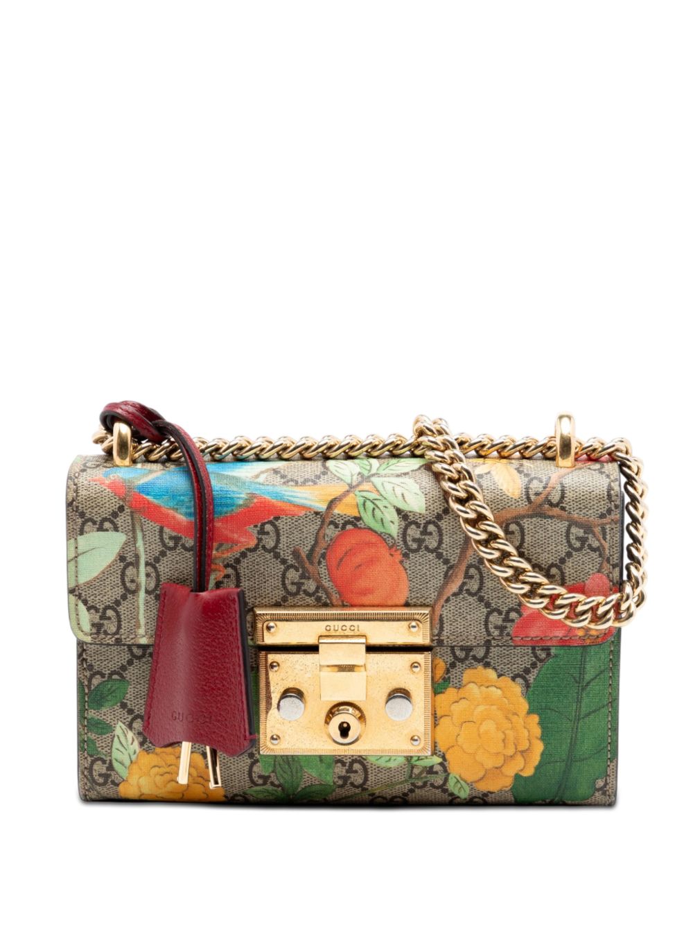 2016-2025 Small GG Supreme Tian Padlock crossbody bag