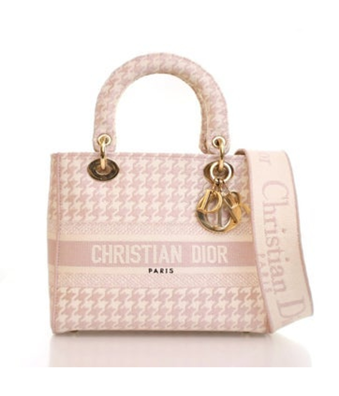 Dior Dior Canvas D Lite