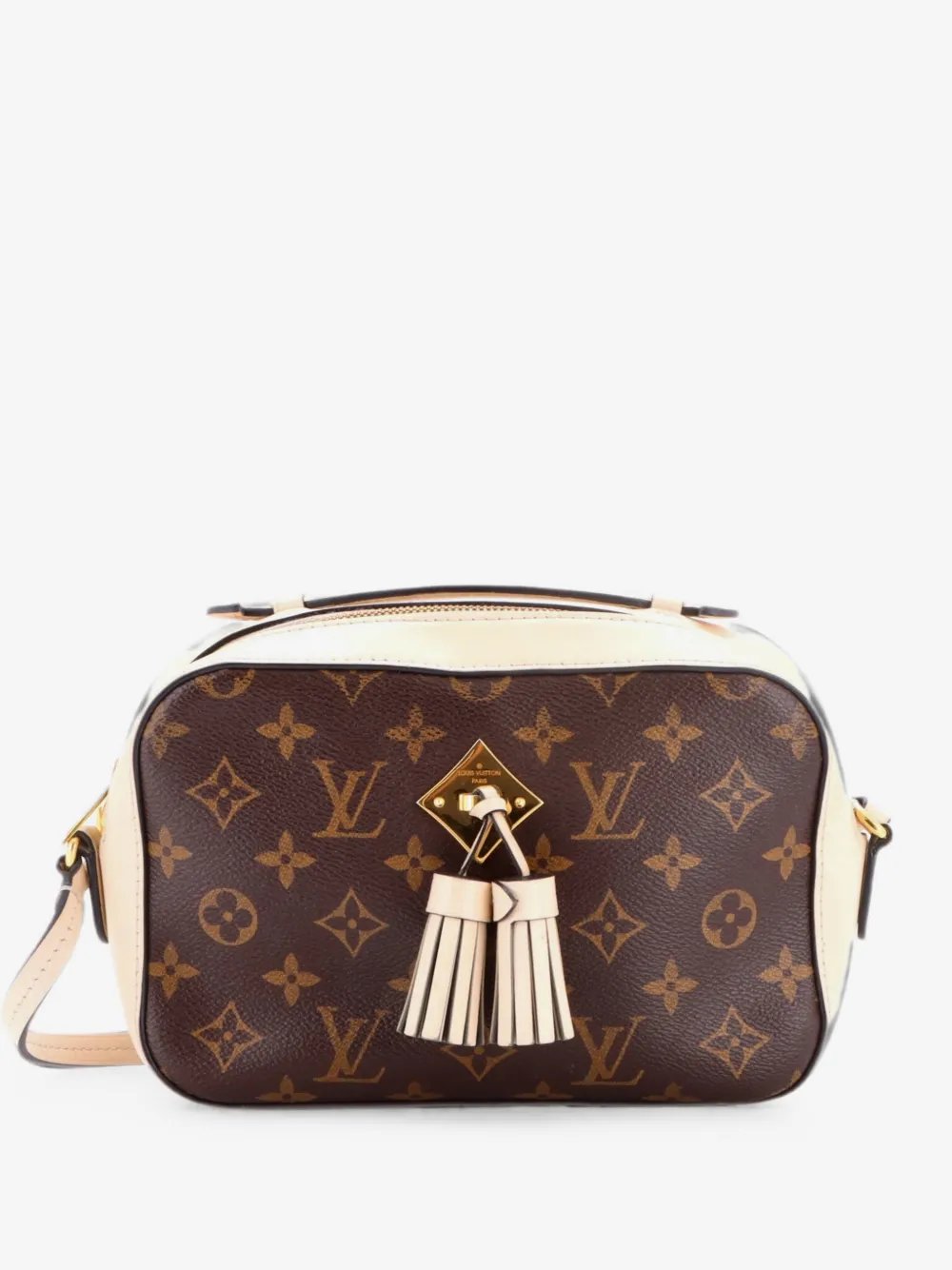 Saintonge Handbag Monogram Canvas with Leather crossbody bag