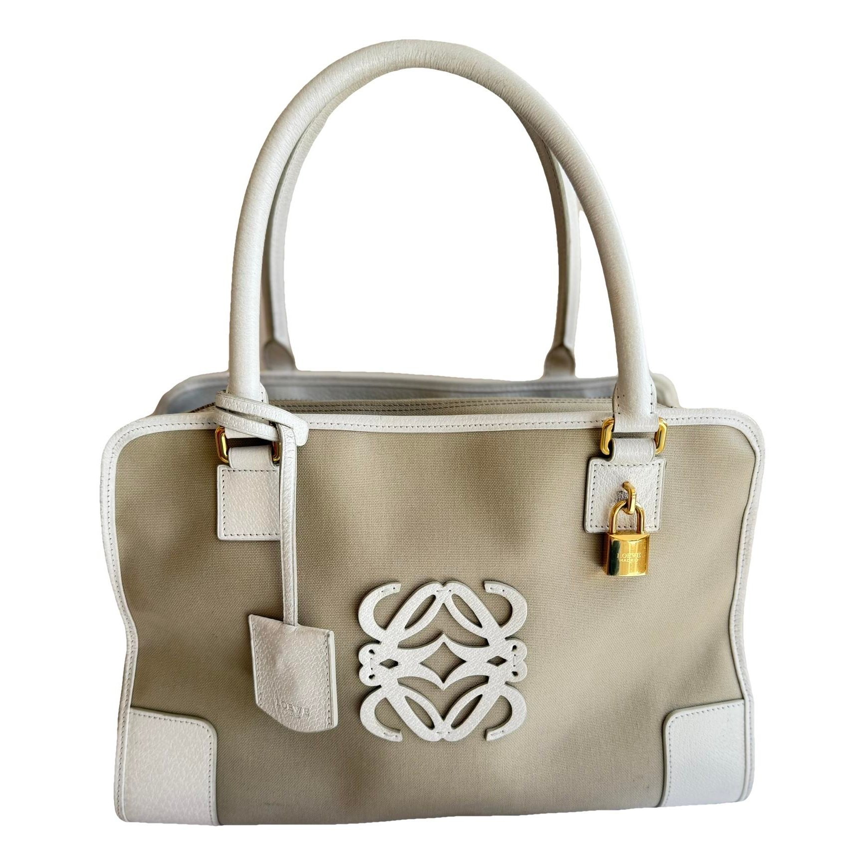 Amazona cloth handbag