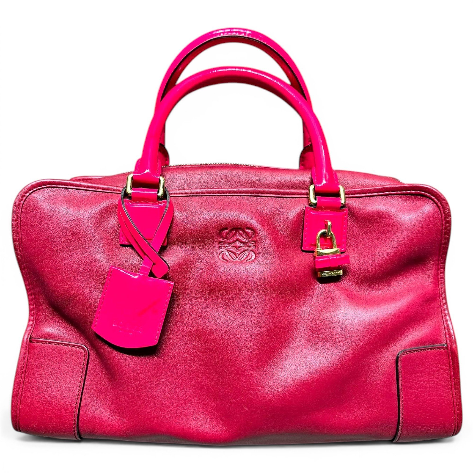 Amazona leather handbag