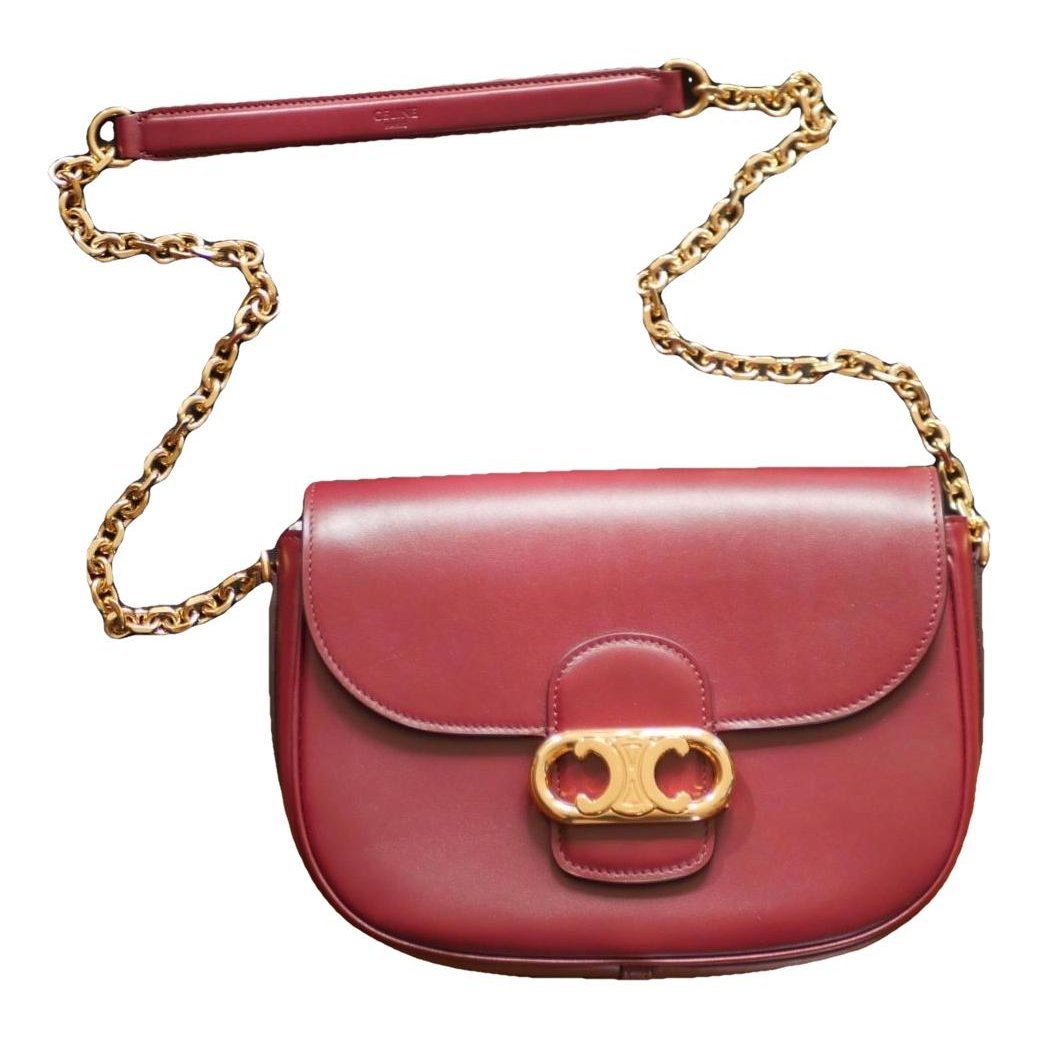 Triomphe Maillon Chain leather handbag
