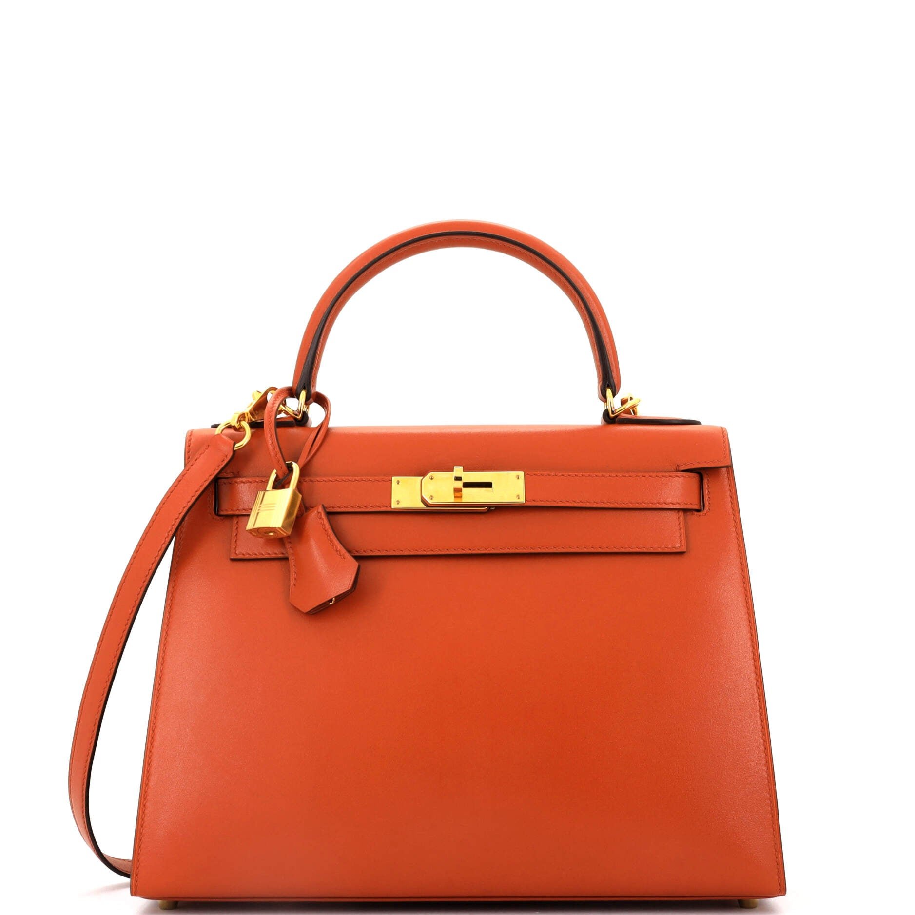 Hermes Kelly Handbag Terre Battue Tadelakt with Gold Hardware 28