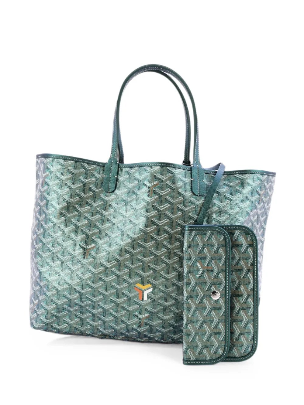 Saint Louis Iridescent Coated Canvas PM tote bag