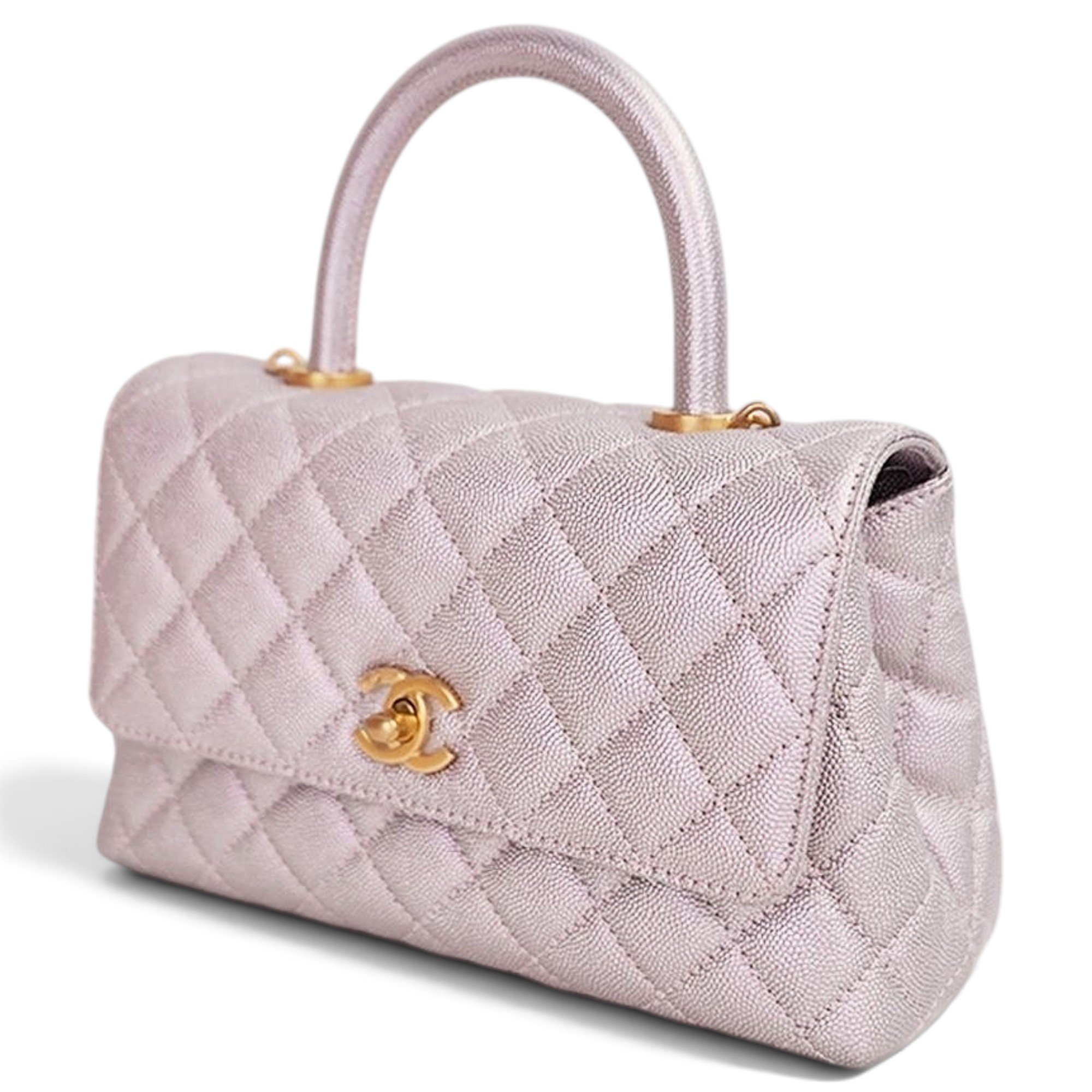 Coco Handle leather handbag