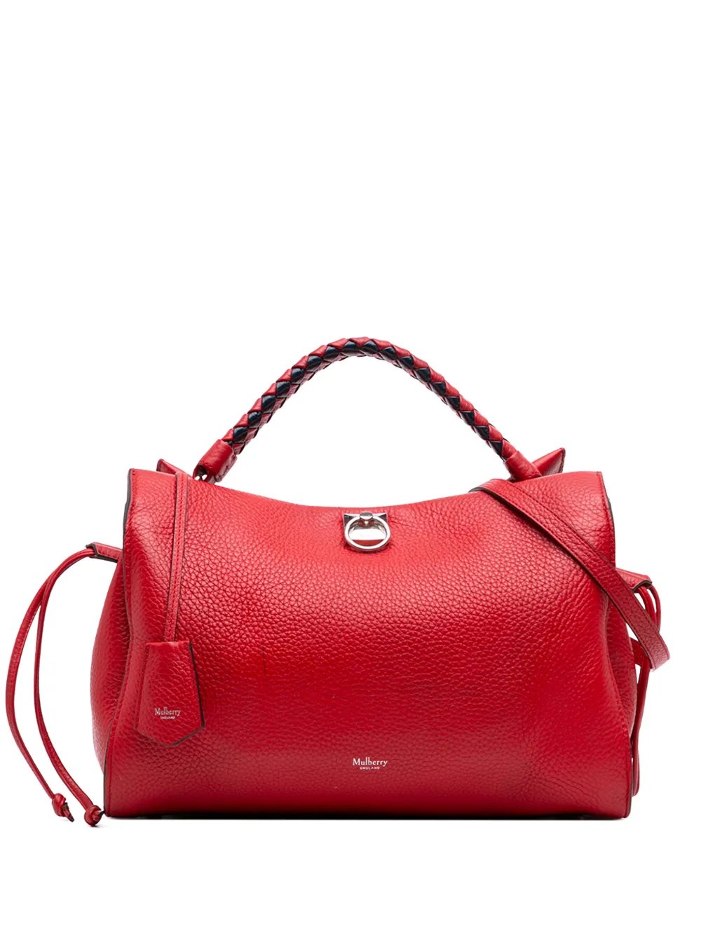 2015-2026 Medium Grained Calfskin Iris satchel