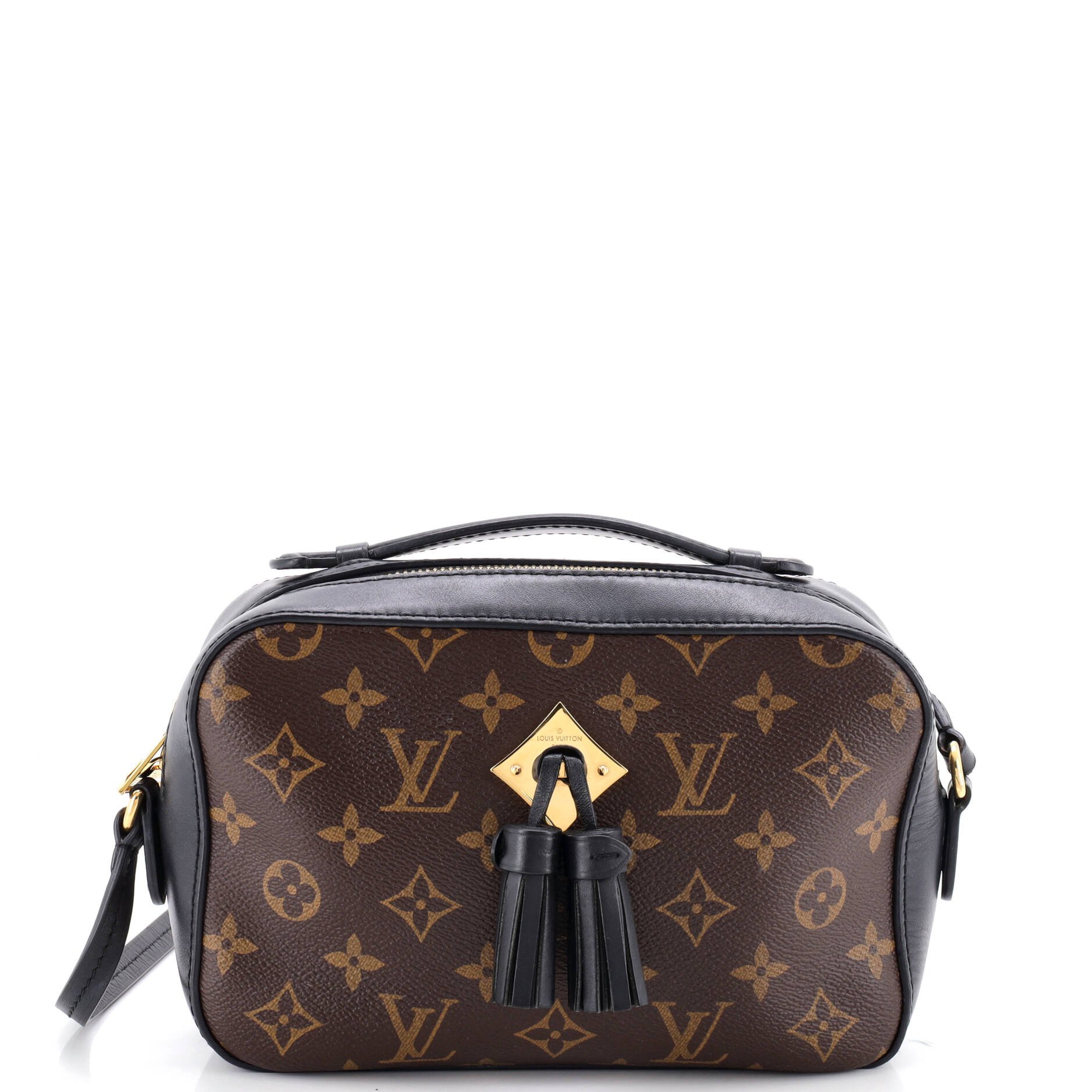 Saintonge Handbag Monogram Canvas with Leather