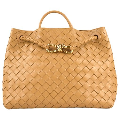 Bottega Veneta Andiamo leather handbag