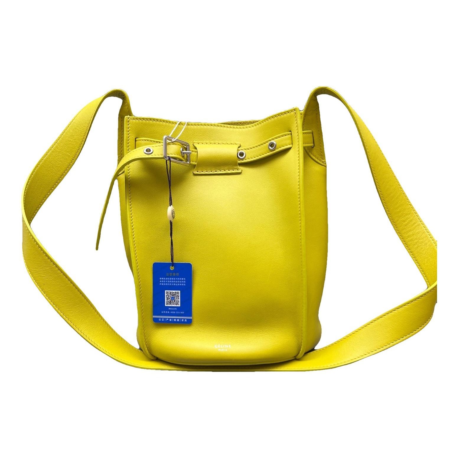 Clasp Bucket leather handbag