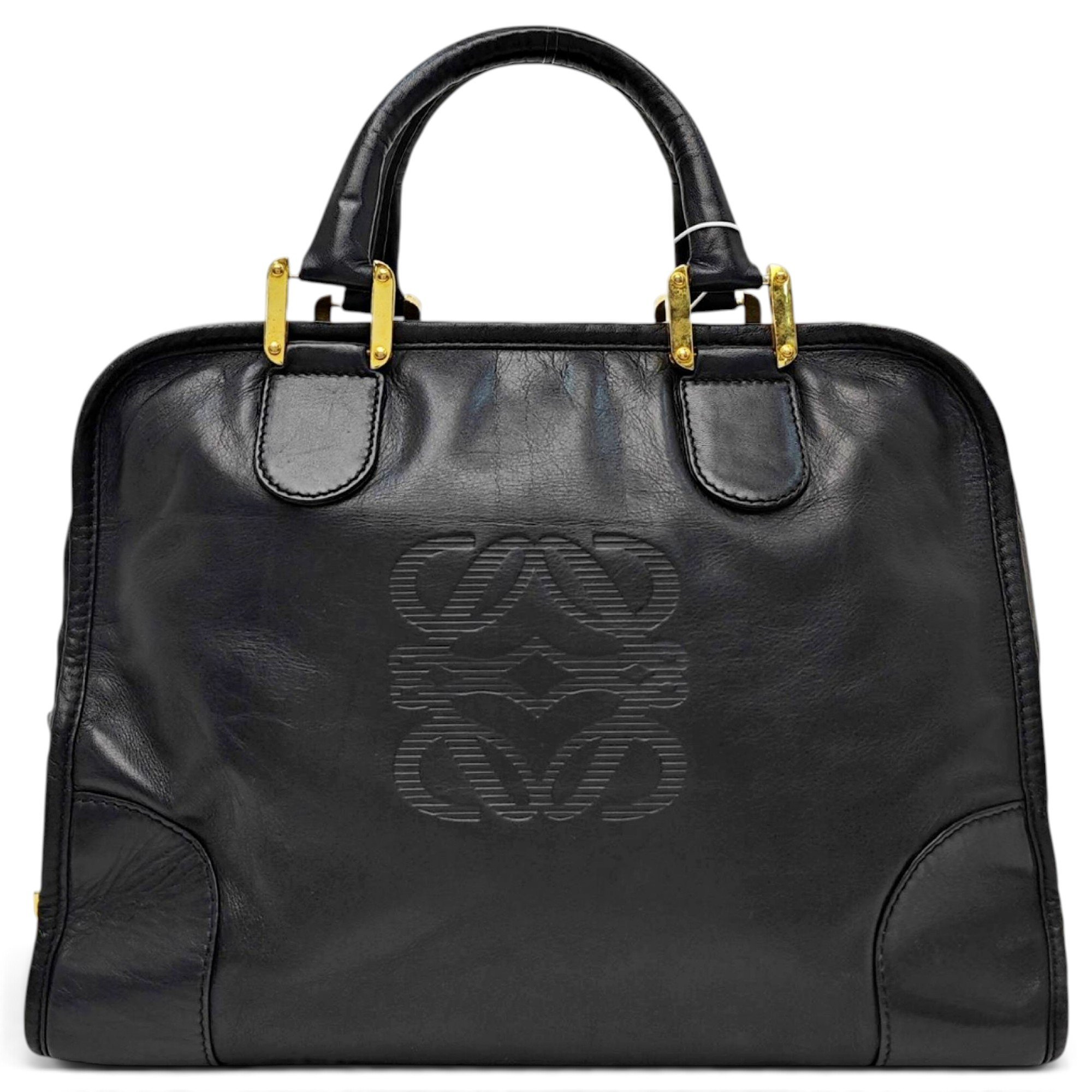 Amazona leather handbag