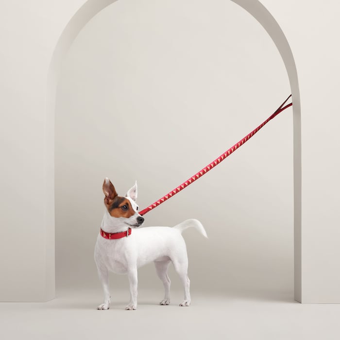 Rouge De Cœur Medor Dog Leash