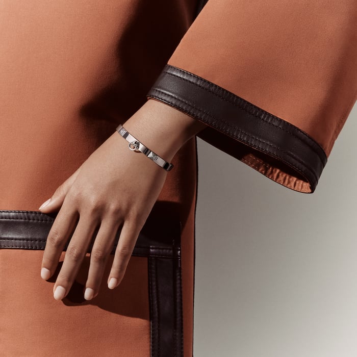 Sans Coloris Collier De Chien Bracelet, Small Model