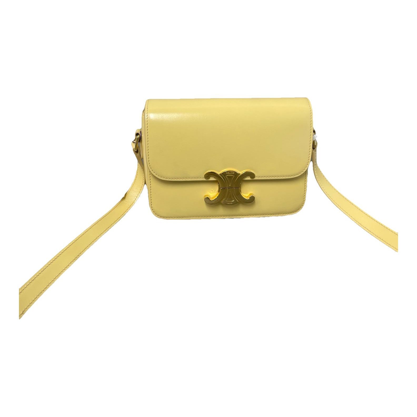 Triomphe leather handbag