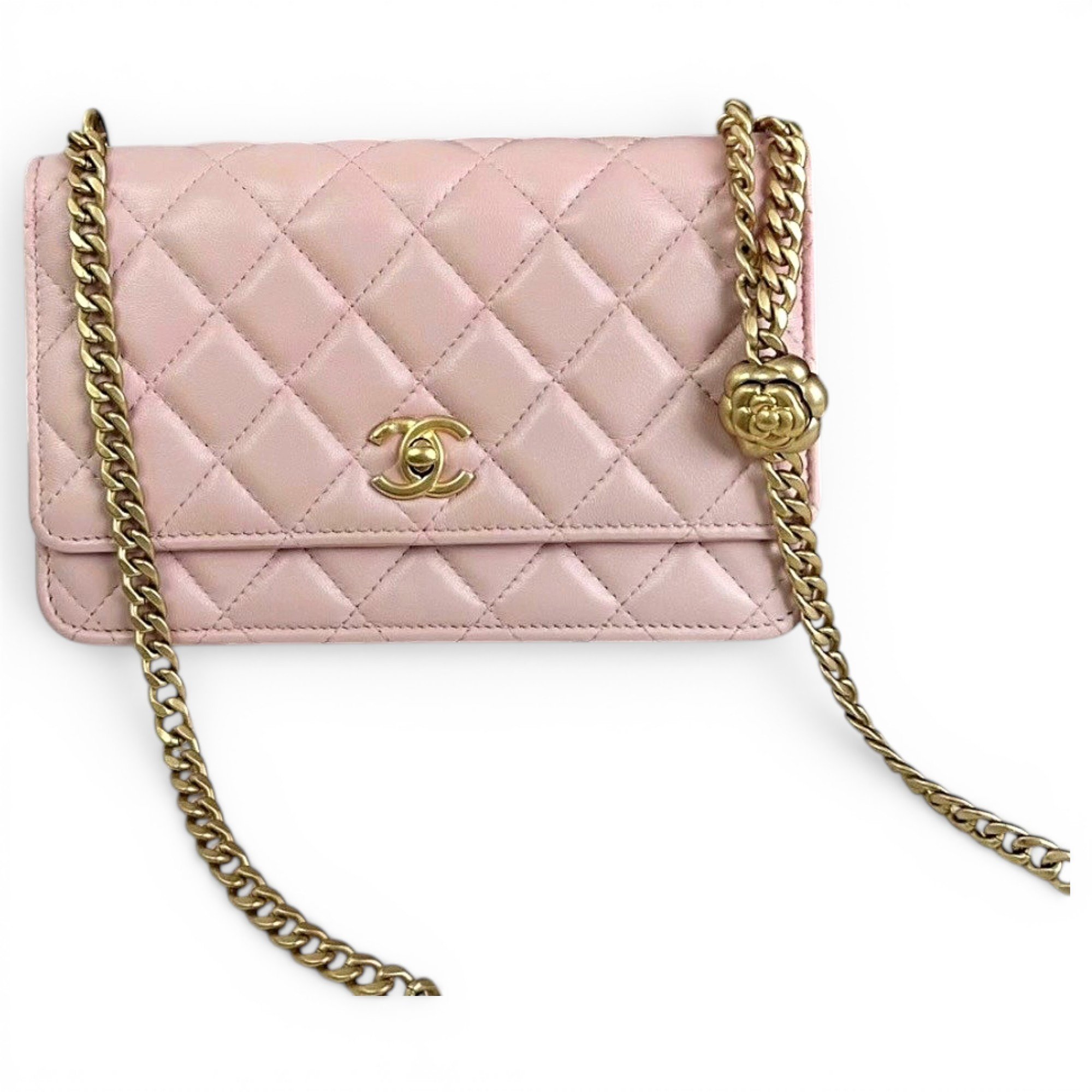 Trendy CC Wallet on Chain leather crossbody bag