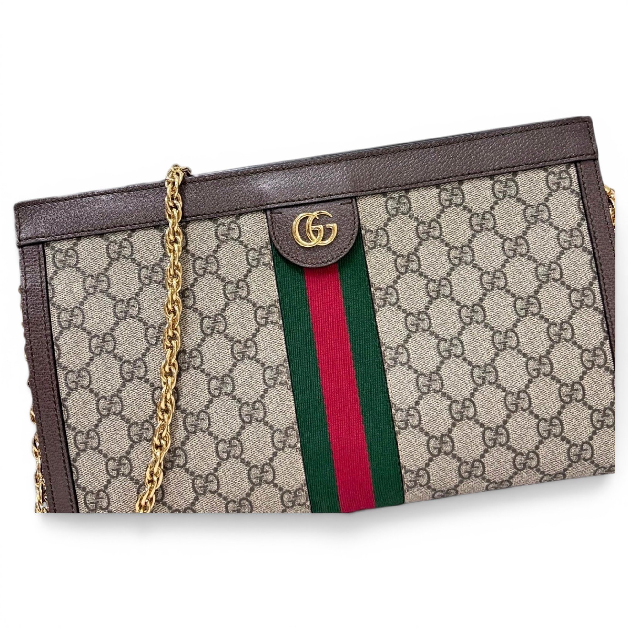 Ophidia Chain leather handbag