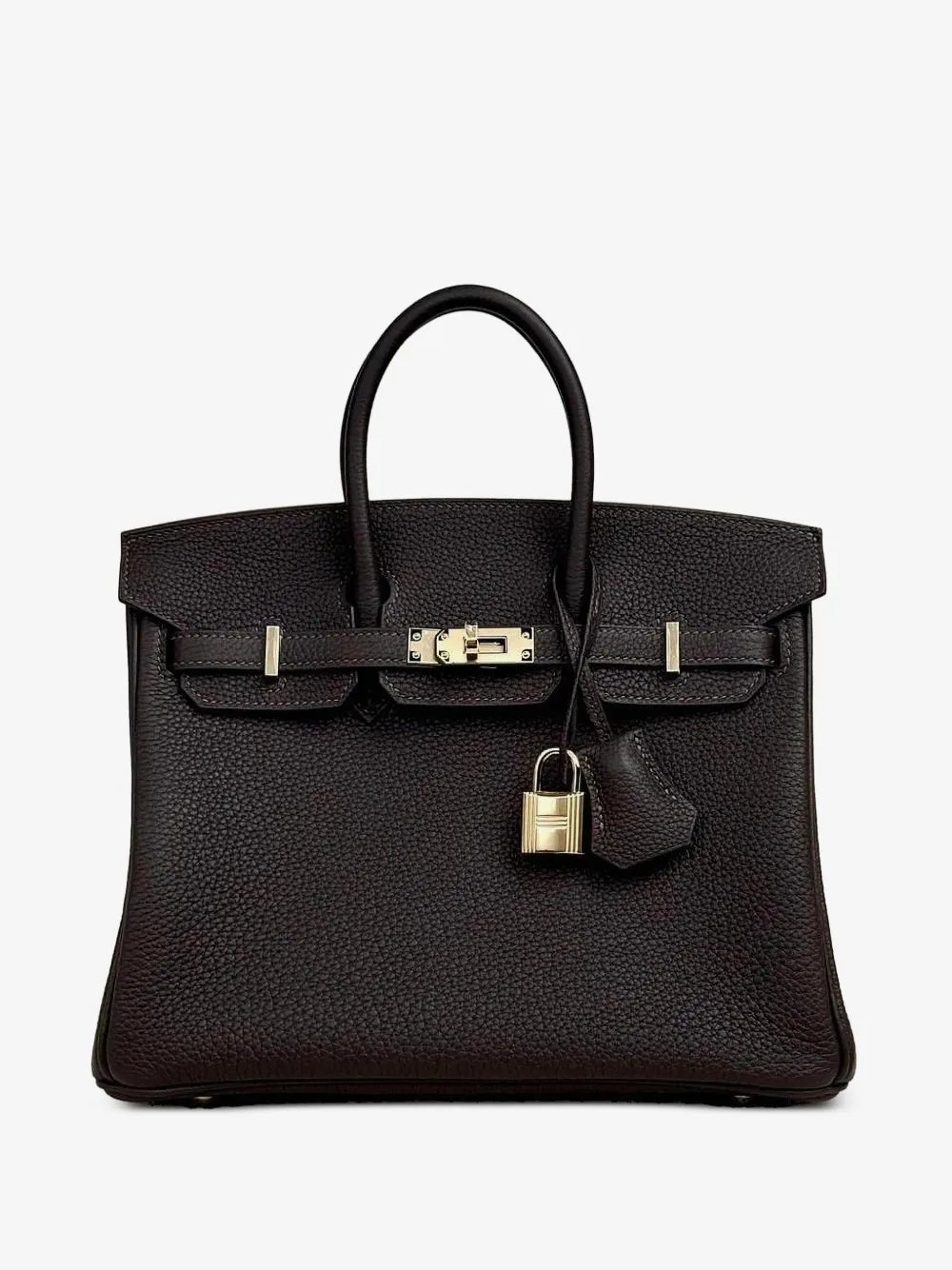 2026 Birkin 25 handbag