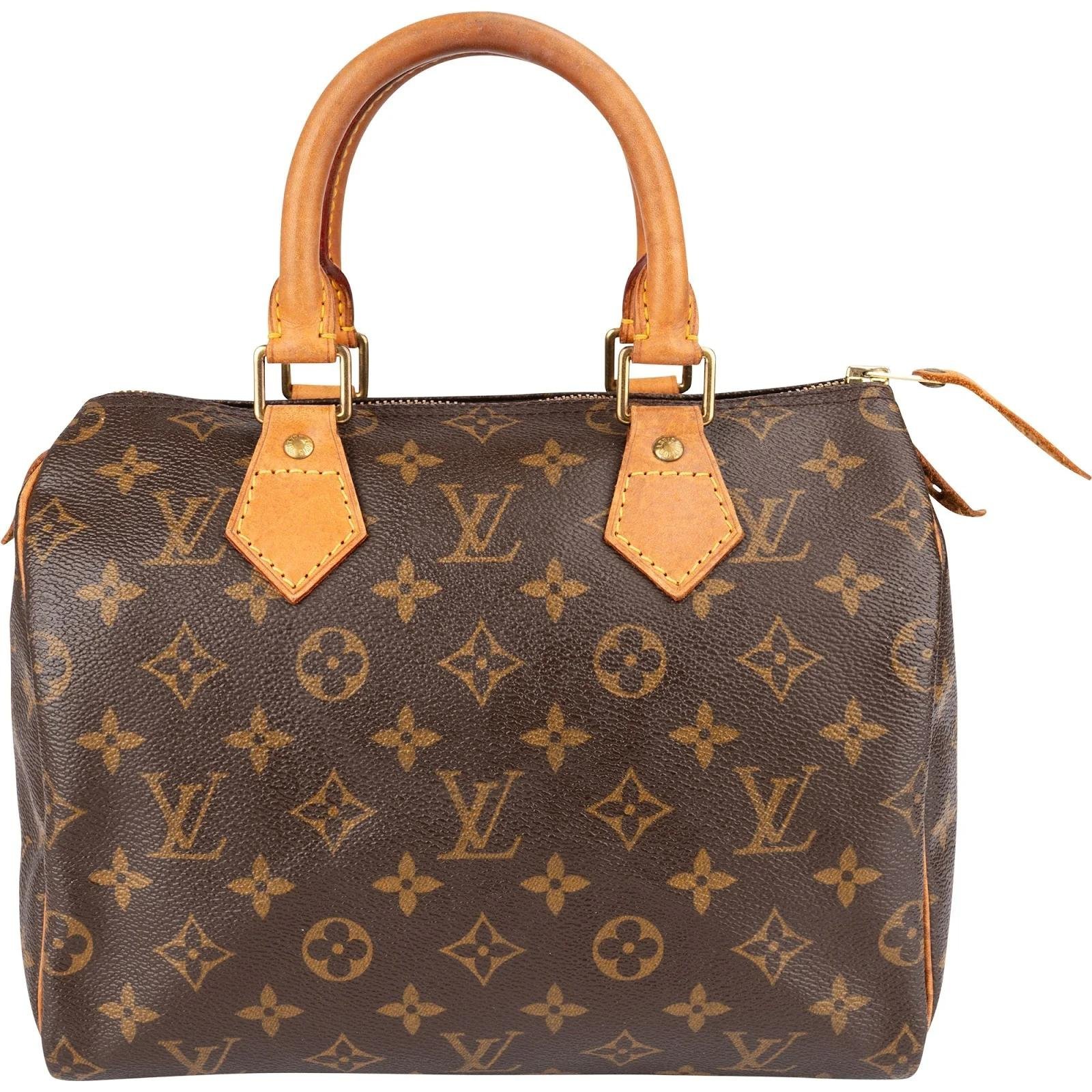 Speedy leather handbag