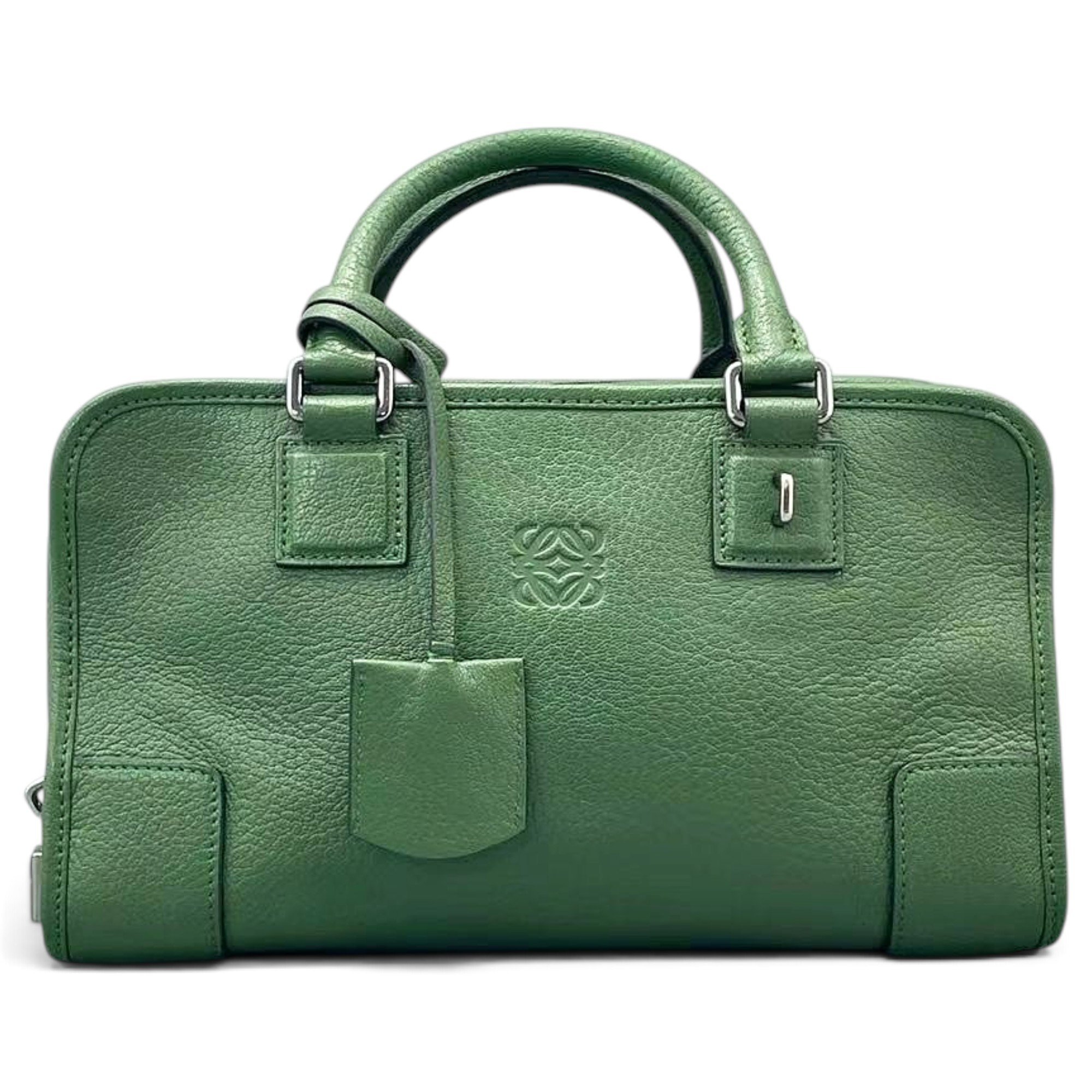 Amazona leather handbag