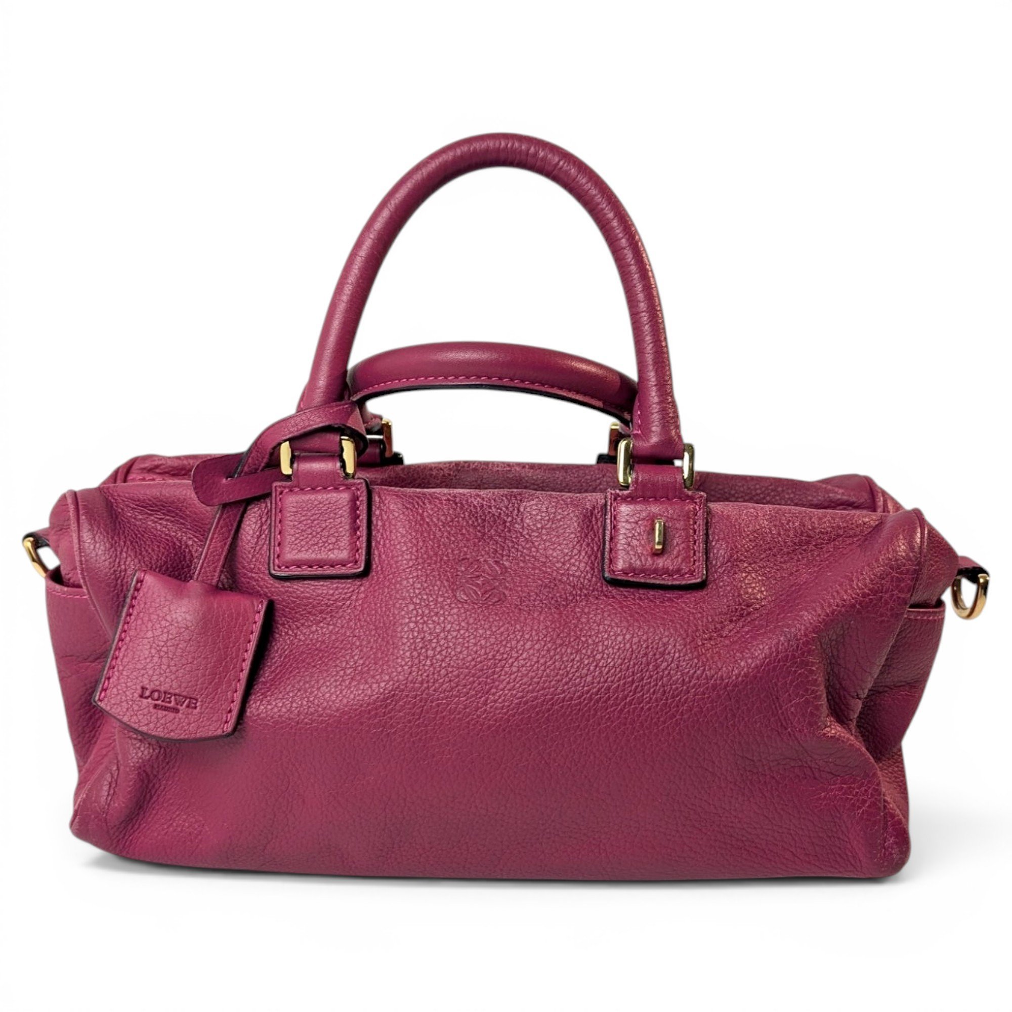 Amazona leather handbag