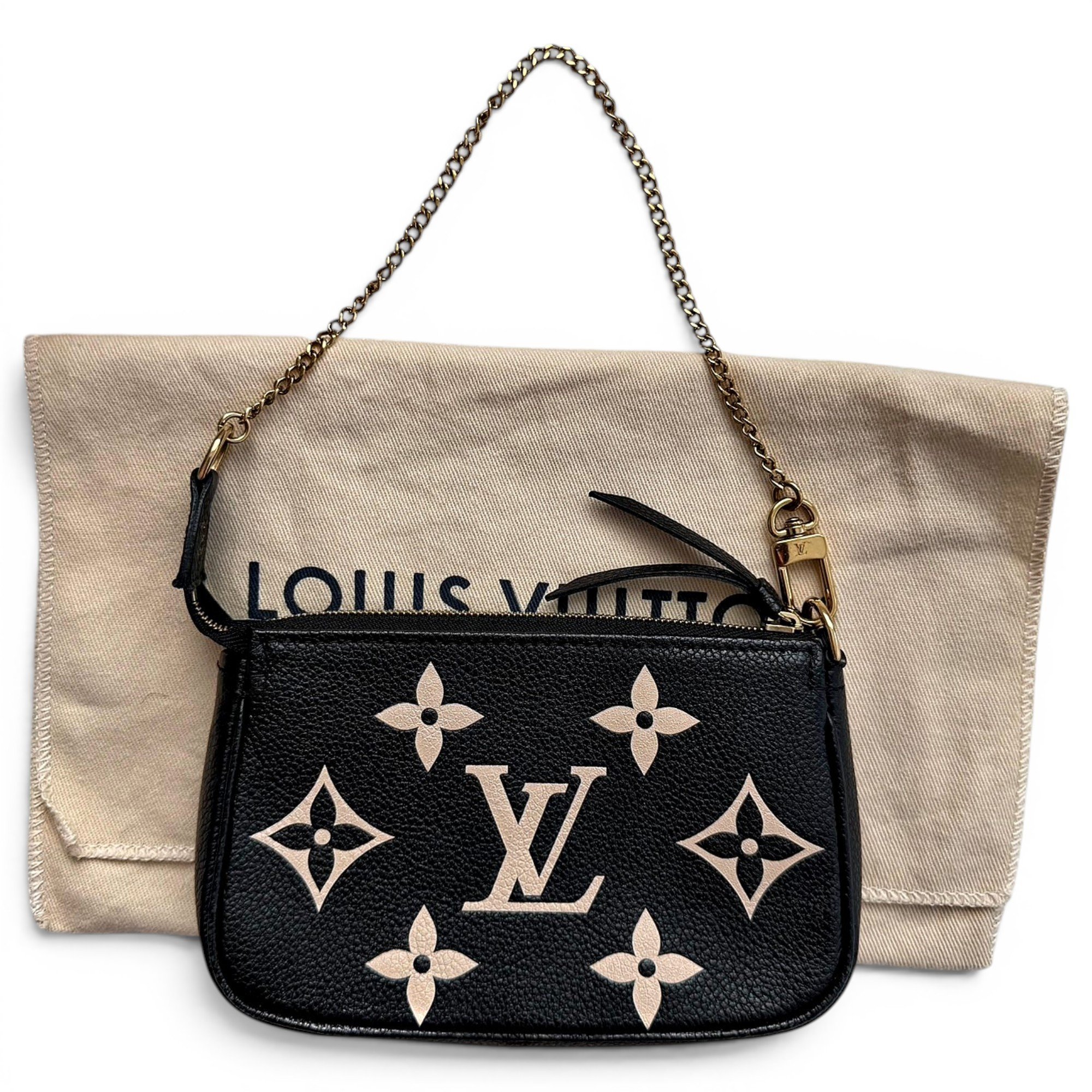 Pochette Accessoire leather mini bag