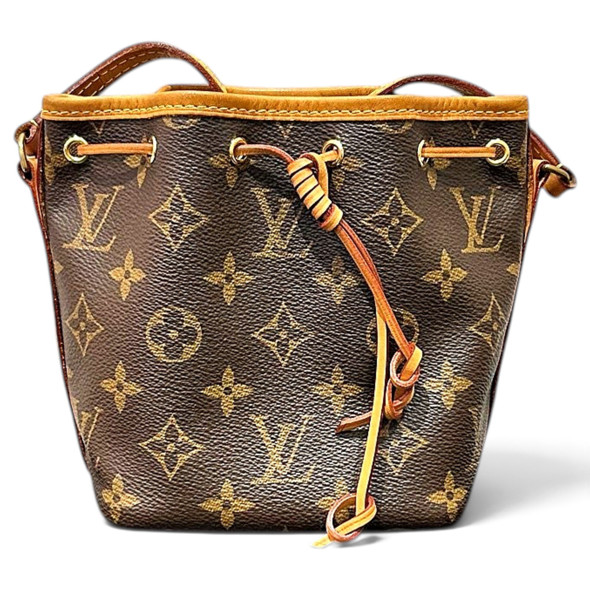 Nano Noé leather handbag