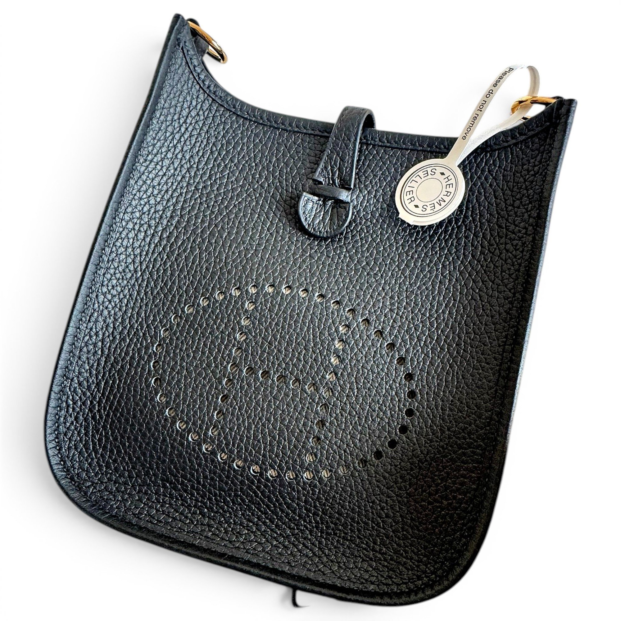 Mini Evelyne leather crossbody bag