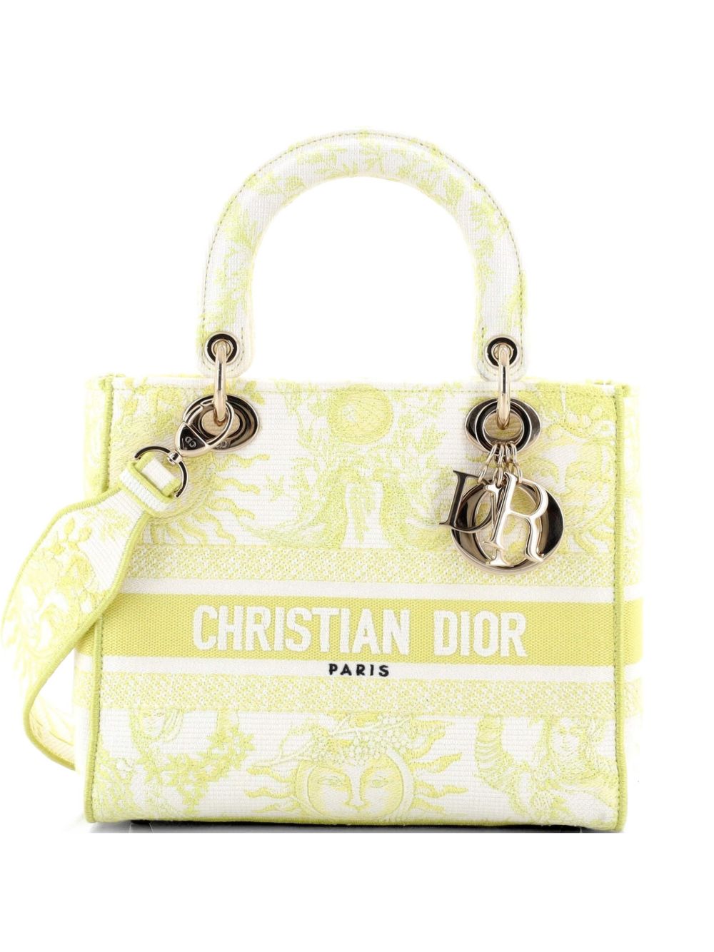 Lady D-Lite Bag Embroidered Canvas Medium satchel