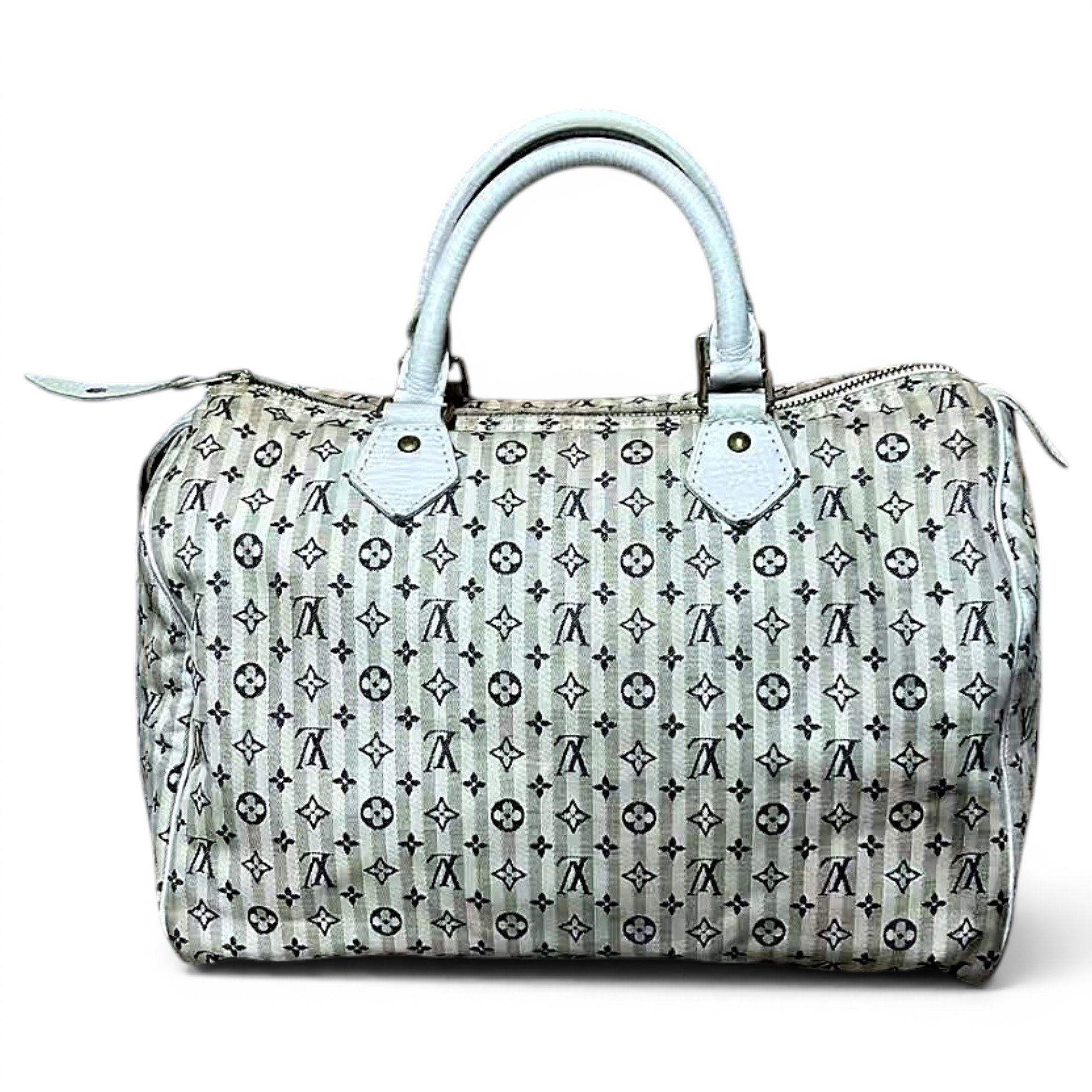 Speedy cloth handbag