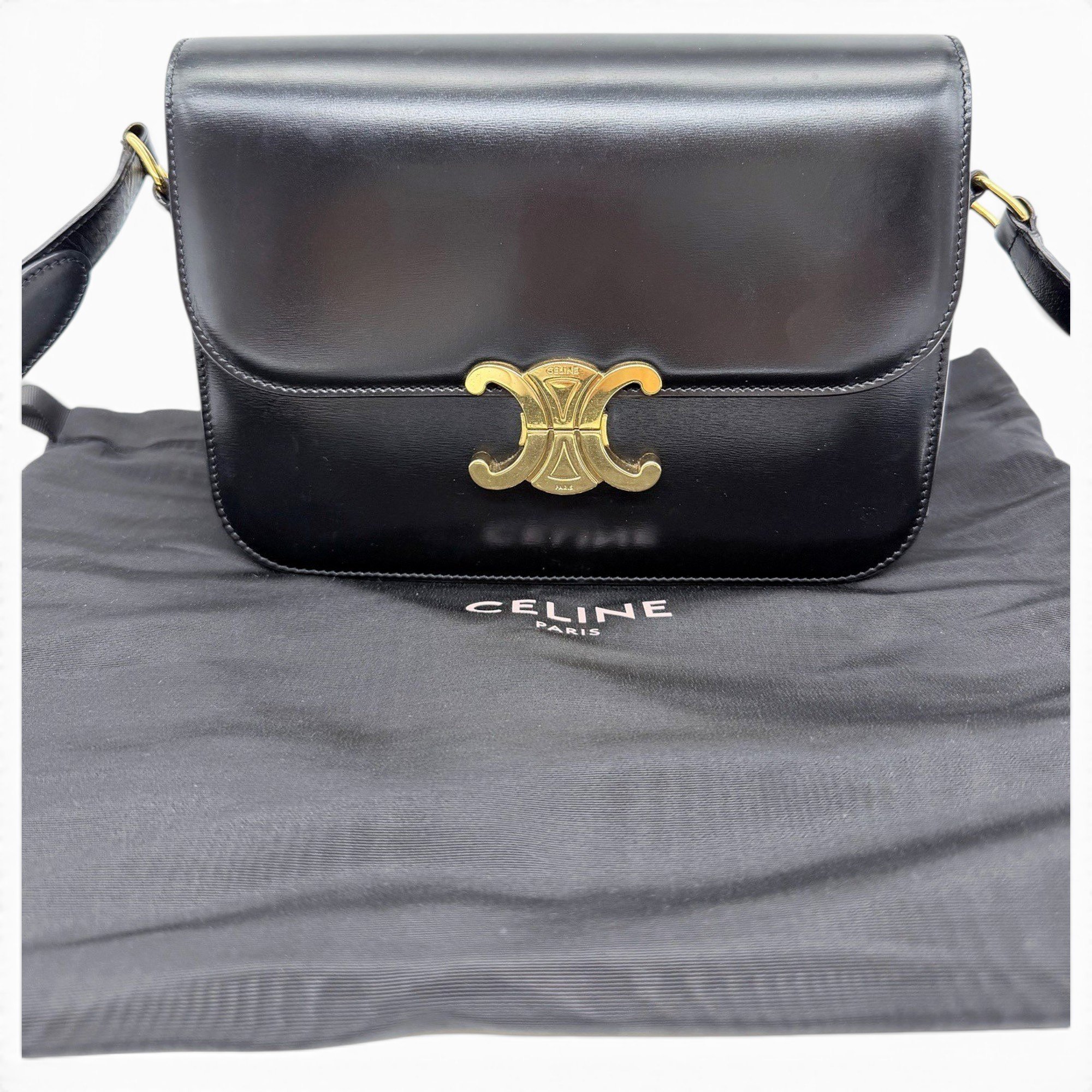 Triomphe leather handbag