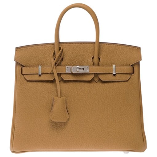 Hermes Birkin 25 Handbag Togo Leather 2025