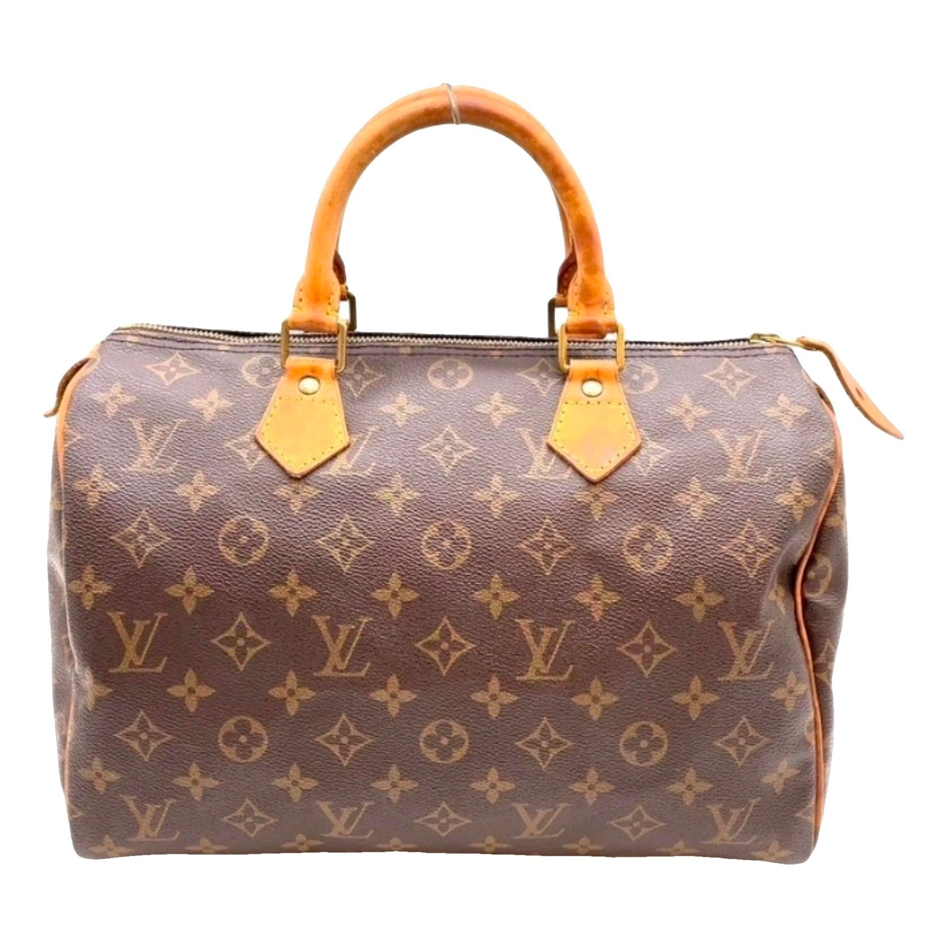 Speedy leather handbag